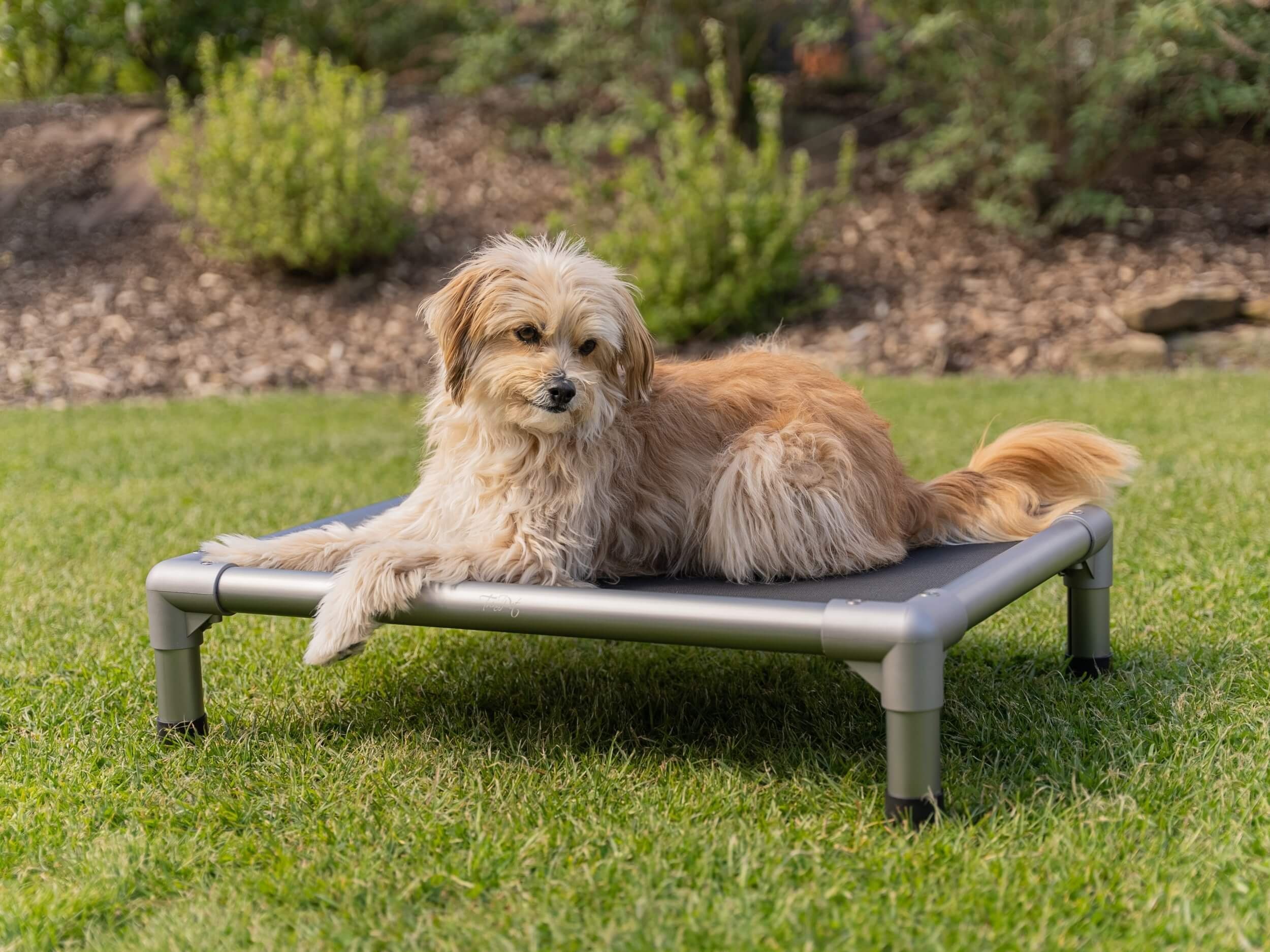 TrendPet Tierbett HighBed, erhöhtes Hundebett, Mesh, günstig online kaufen