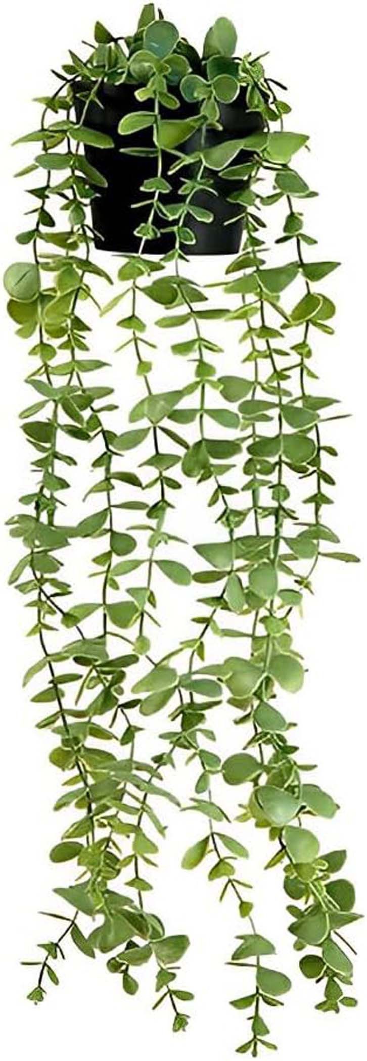 Kunstpflanze mit 1 künstlichen Hängepflanzen (60cm) mit Topf,Kunstpflanzen, günstig online kaufen