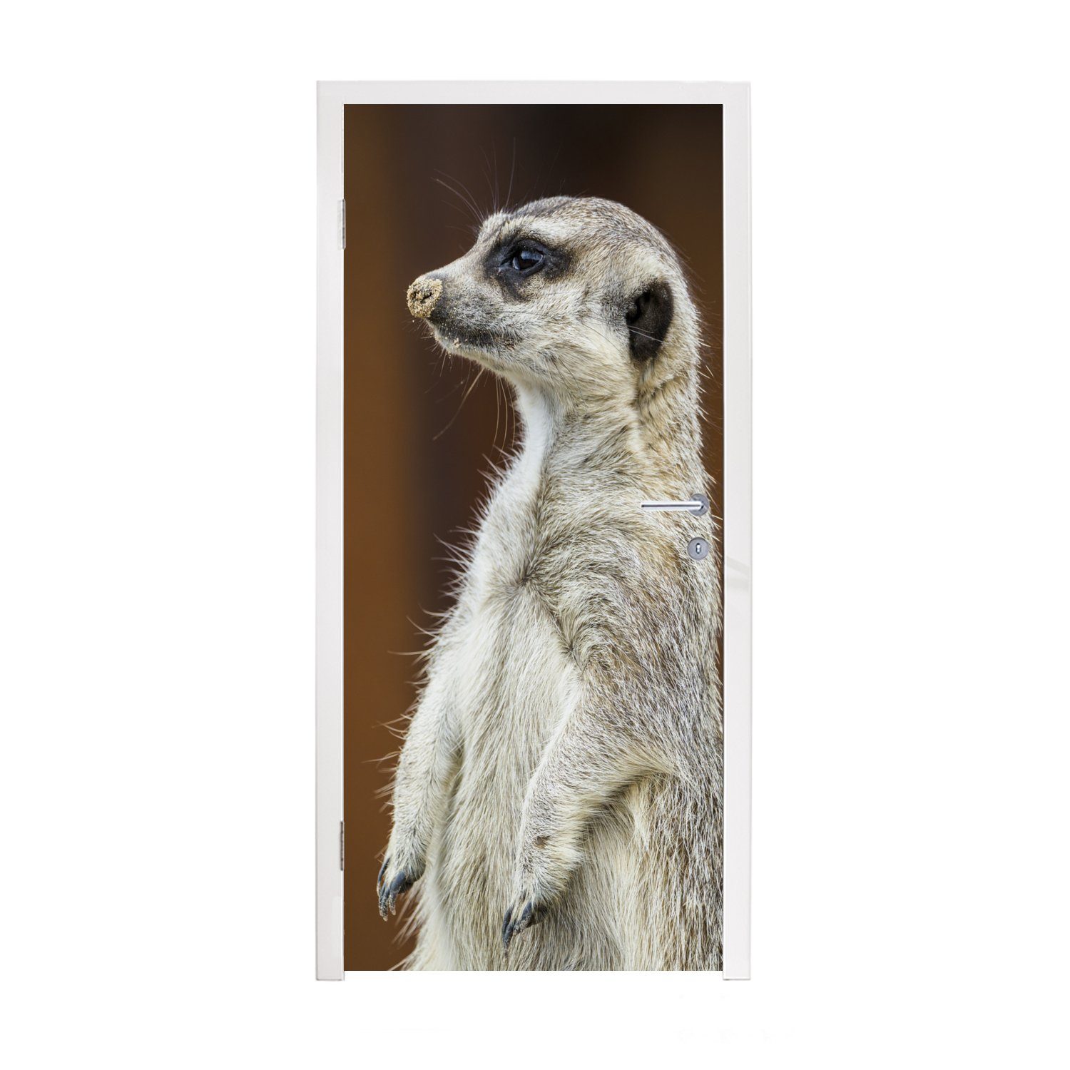 MuchoWow Türtapete Erdmännchen - Tier - Spiel, Matt, bedruckt, (1 St), Fototapete für Tür, Türaufkleber, 75x205 cm | Türtapeten