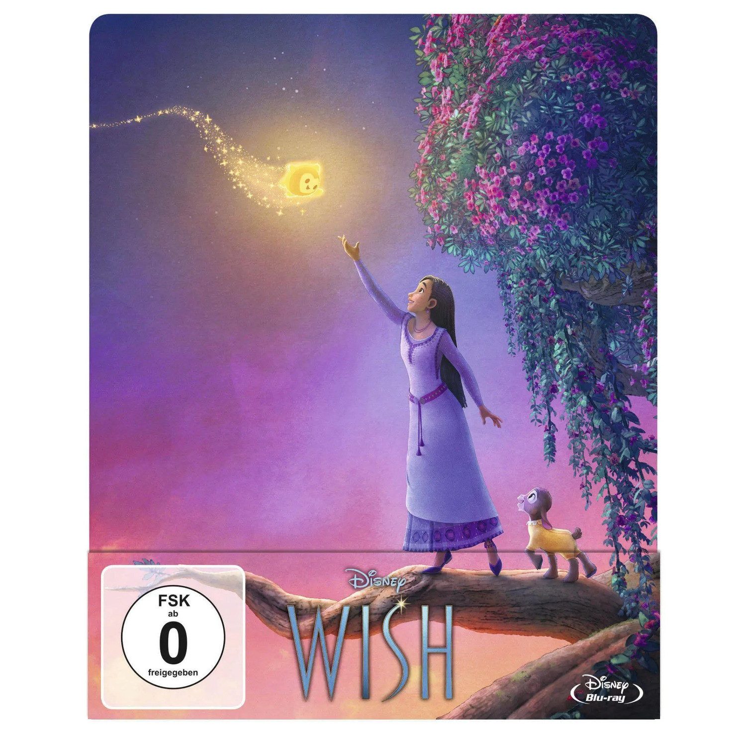 Walt Disney Blu-ray Wish