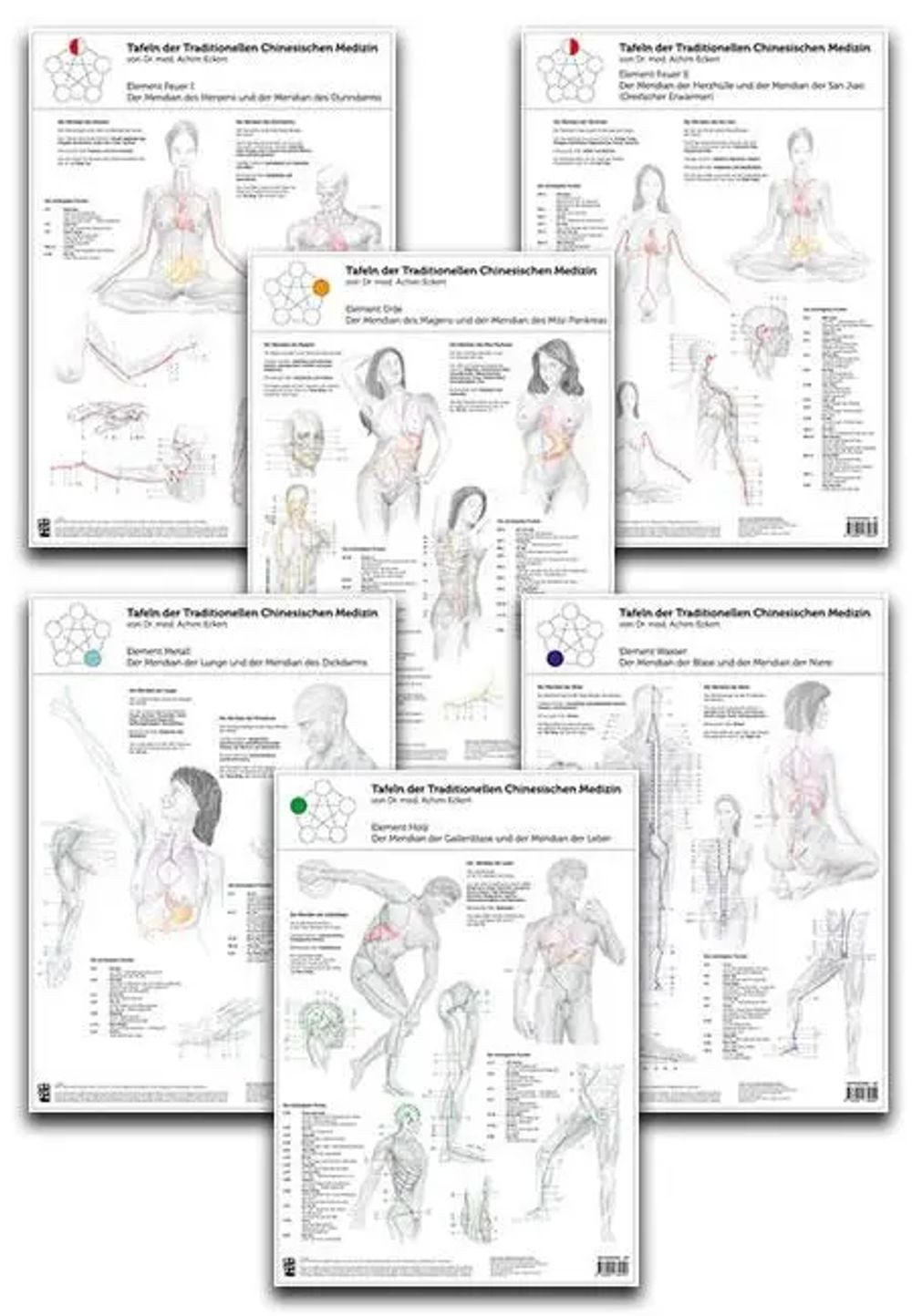 Poster Set von 6 Tafeln der Traditionellen Chinesischen Medizin