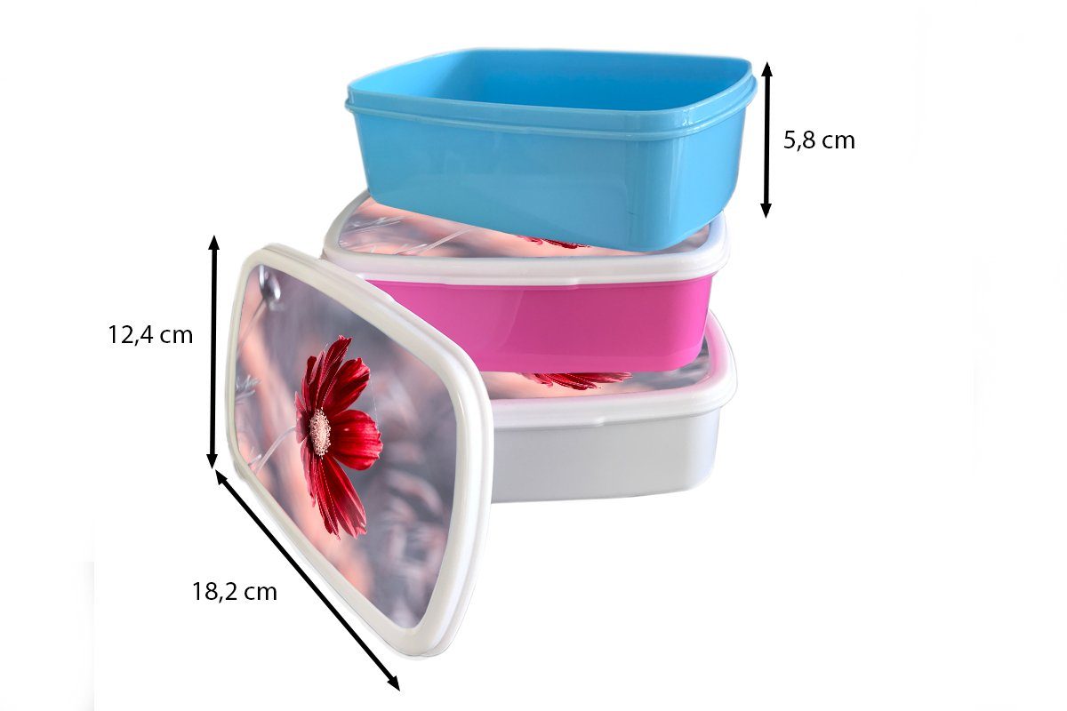 (2-tlg), für Kinder, Natur Kunststoff, Snackbox, Lunchbox Erwachsene, - MuchoWow Kunststoff - - Pflanzen, Brotdose Brotbox Mädchen, rosa Blumen Rot