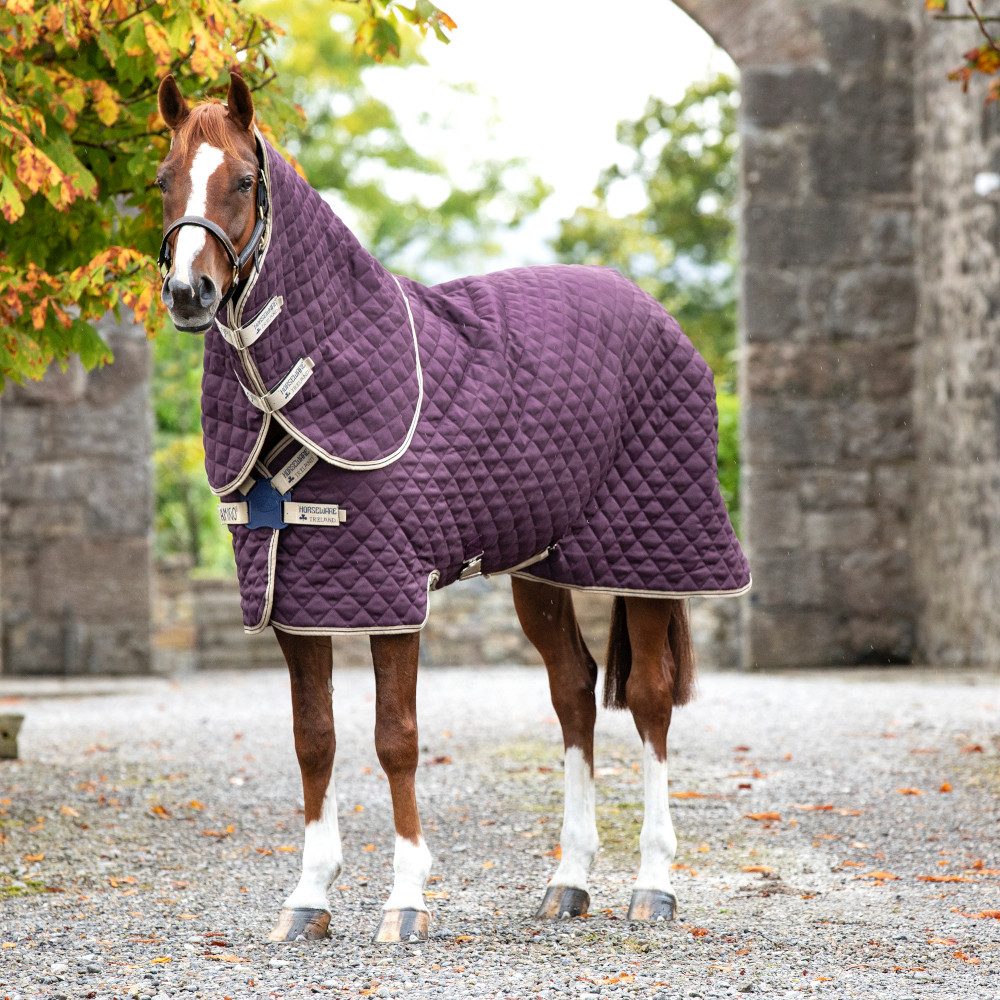 Horseware Pferde-Thermodecke Horseware Amigo Stable Plus DISC Medium 200g - Fig/Navy