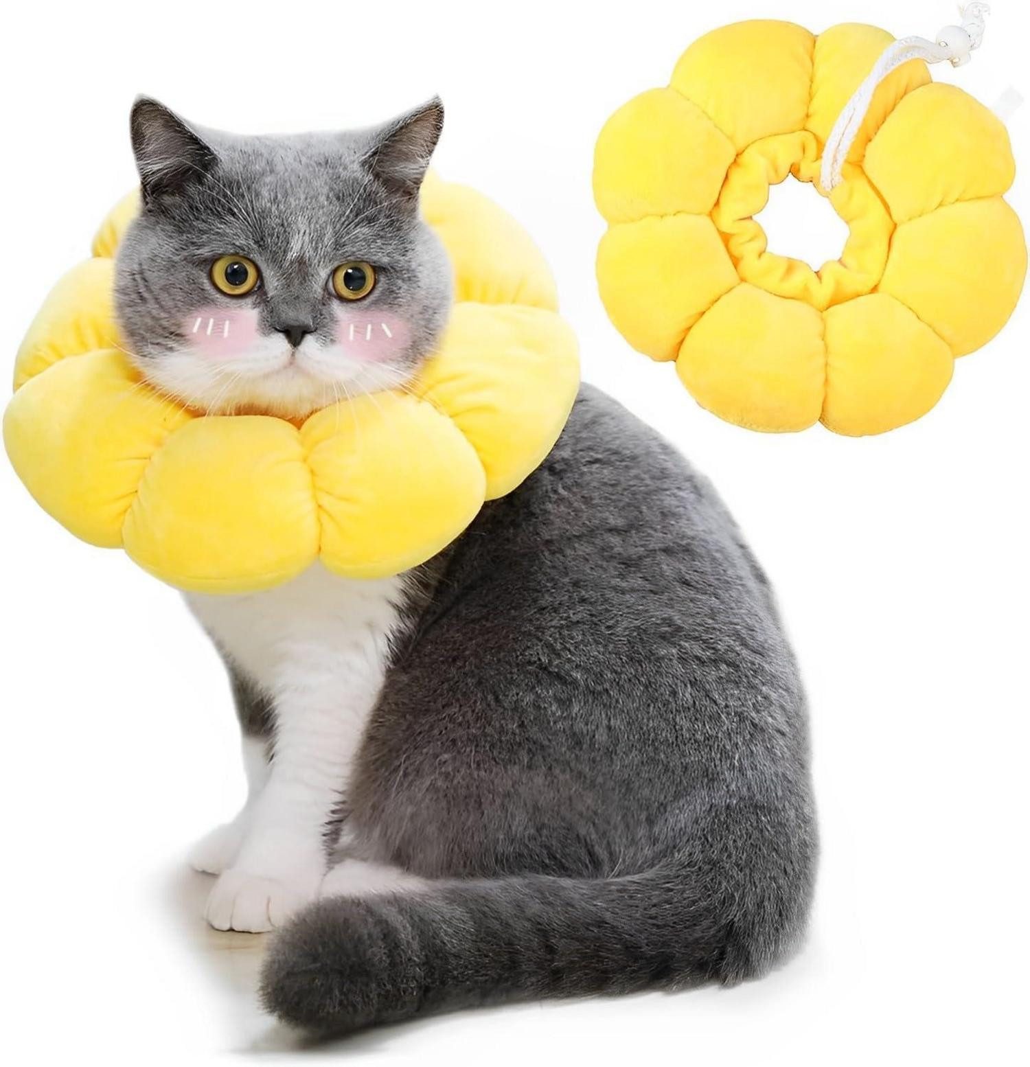 Schutzkragen Einstellbare Katzen Halskrause für Katzen und