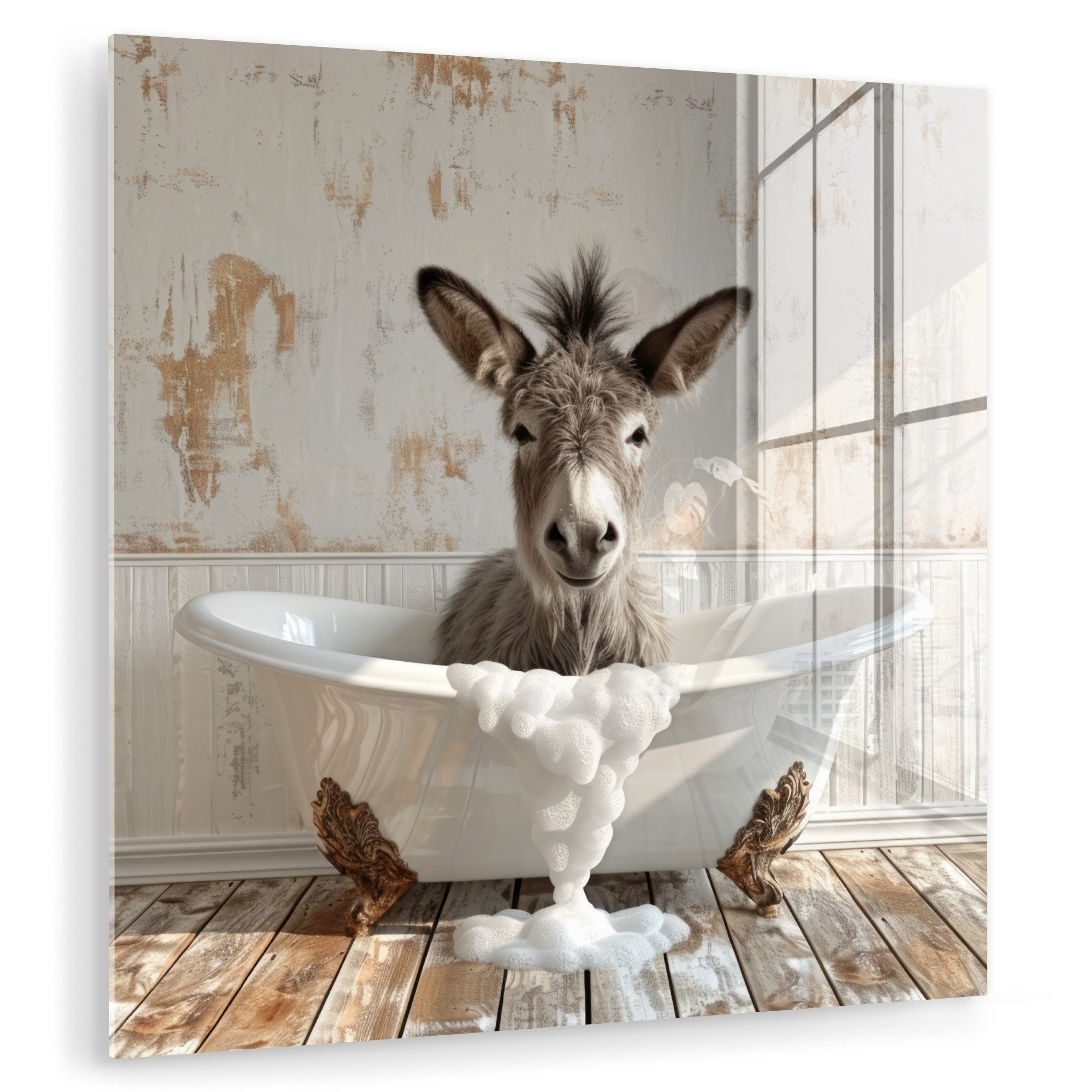 MuchoWow Acrylglasbild Esel - Tiere - günstig online kaufen