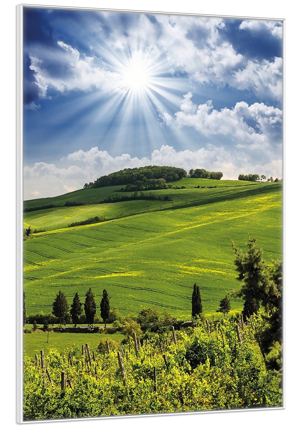 Wallario Poster, Strahlender Sonnenschein, in verschiedenen günstig online kaufen