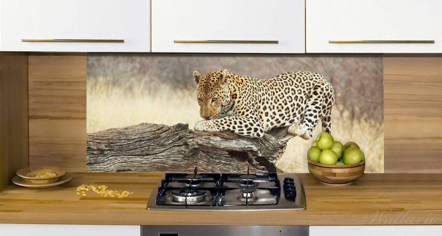 Küchenrückwand Baumstamm in Leopard auf (1-tlg) Wallario Afrika,
