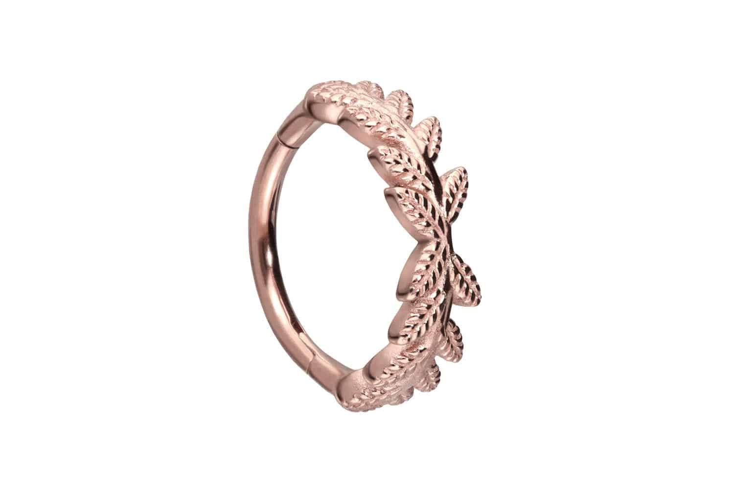Piercing-Set Chirurgenstahl Segmentring Clicker BLÄTTERKRANZ