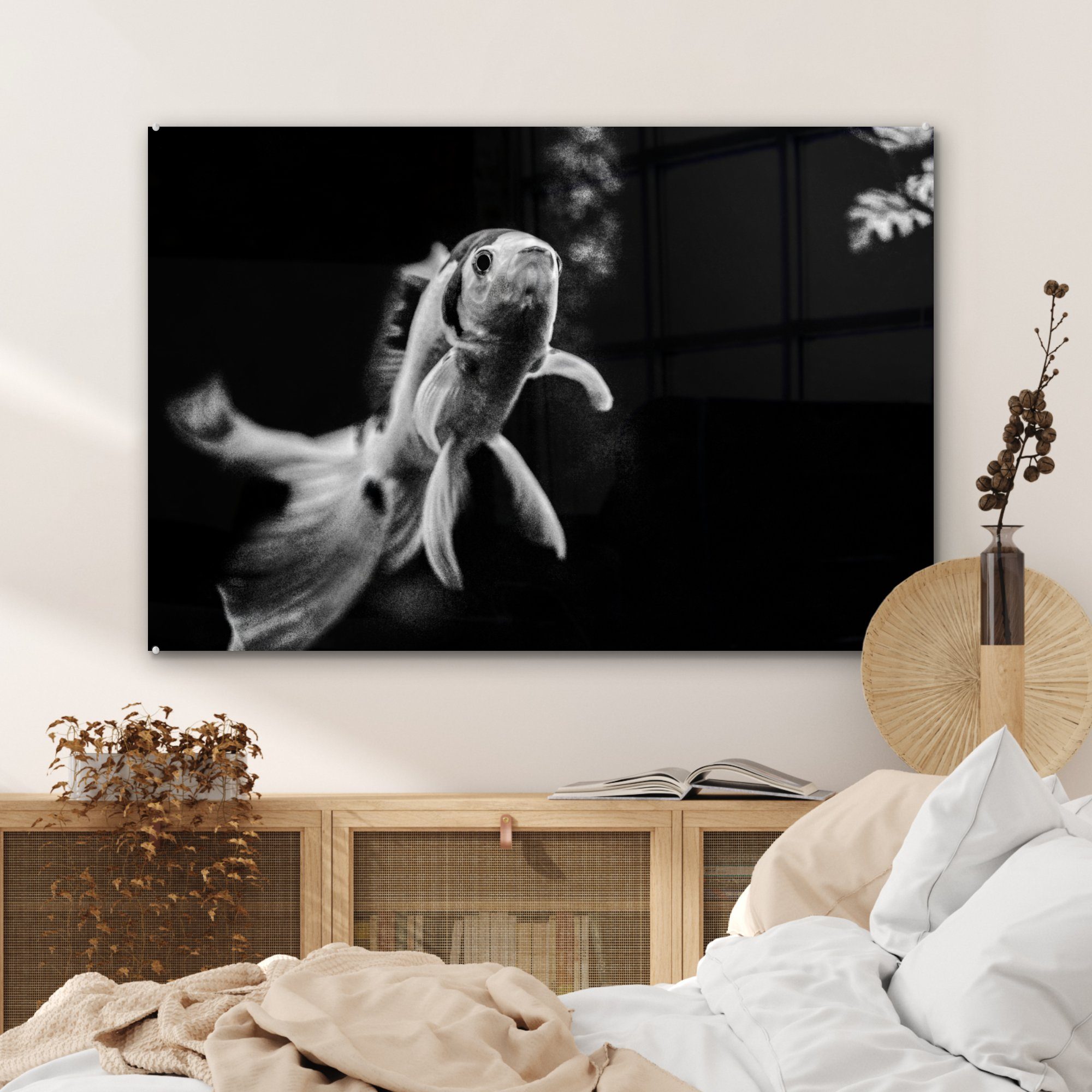 St), schwimmt (1 & Acrylglasbilder Weiß Acrylglasbild Schwarz auf, Goldfisch in Schlafzimmer Wohnzimmer MuchoWow und