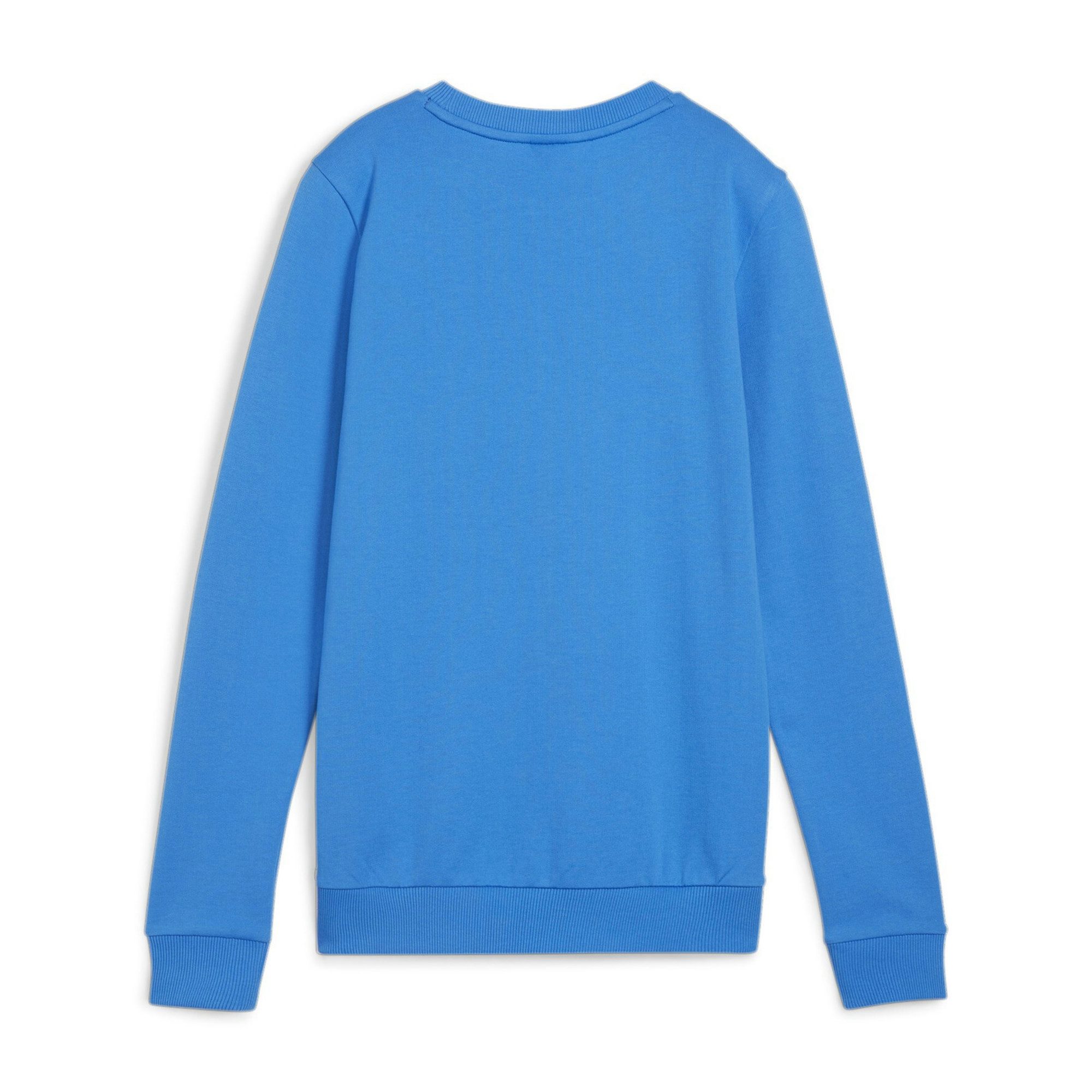 PUMA Fleecepullover Puma Damen Pullover teamGOAL günstig online kaufen