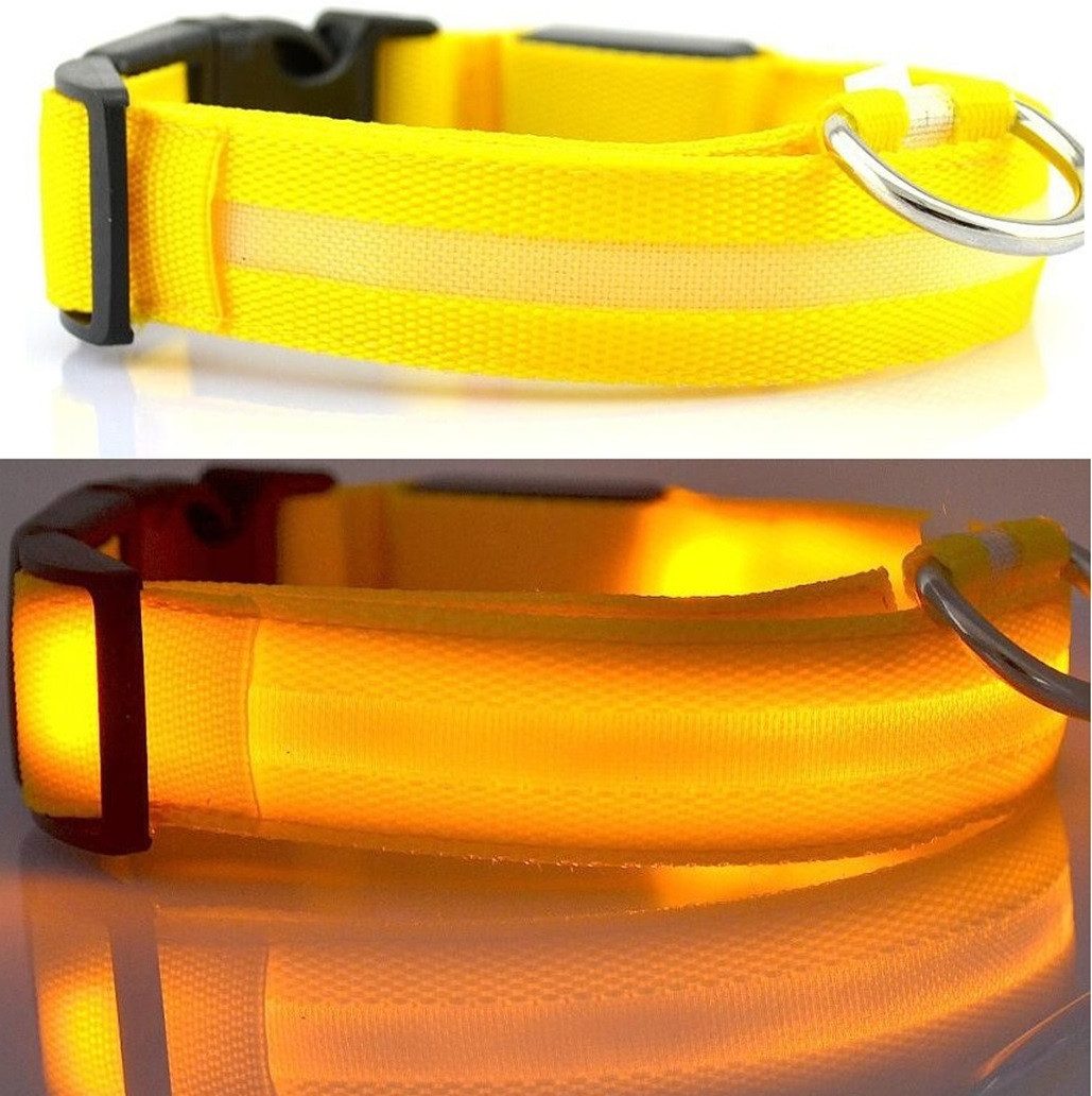 Hundehalsbandleuchte Hundehalsband Leuchthalsband Hund LED USB Aufladbar