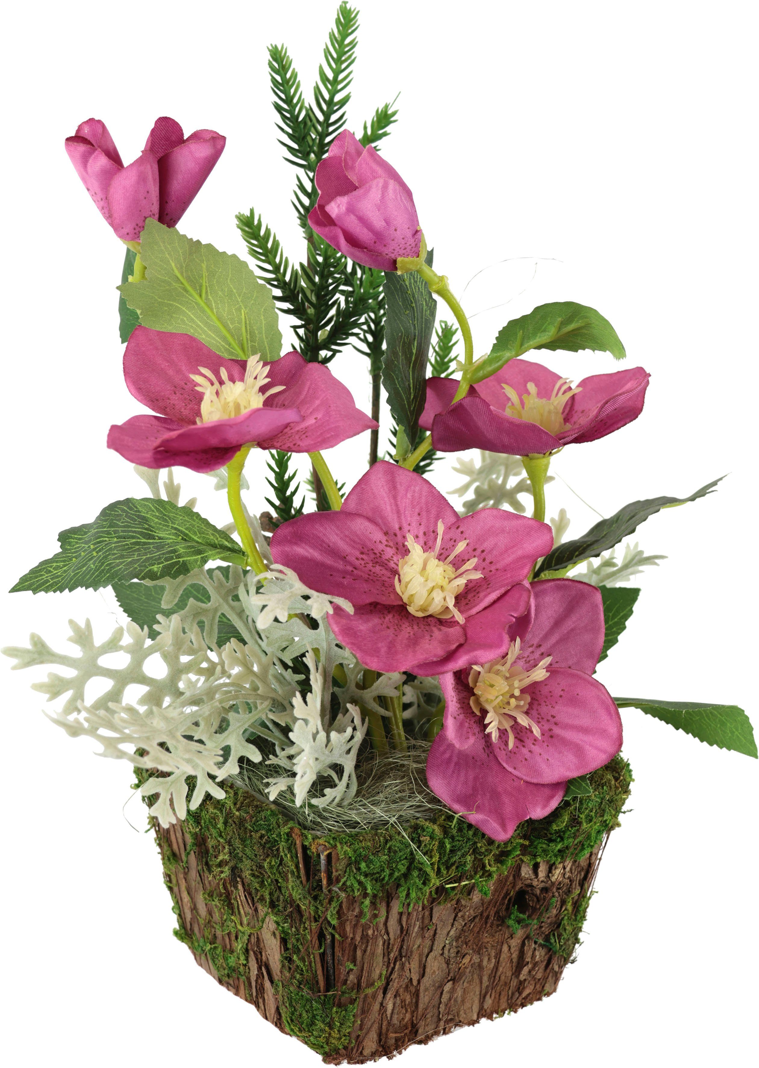 Winterliche Kunstpflanze Gesteck mit Christrosen im Pflanztopf, Weihnachtsdeko, Christrose, I.GE.A., Höhe 25 cm, Kunstblumen-Arrangement, festliches Blumenensemble, Weihnachtsgesteck