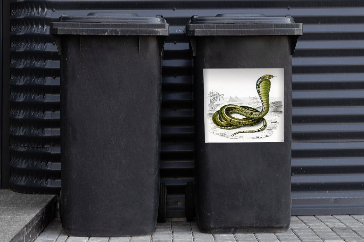 (1 Abfalbehälter St), einer Mülleimer-aufkleber, Mülltonne, Illustration Wandsticker Kobra Sticker, MuchoWow Handkolorierte Container,