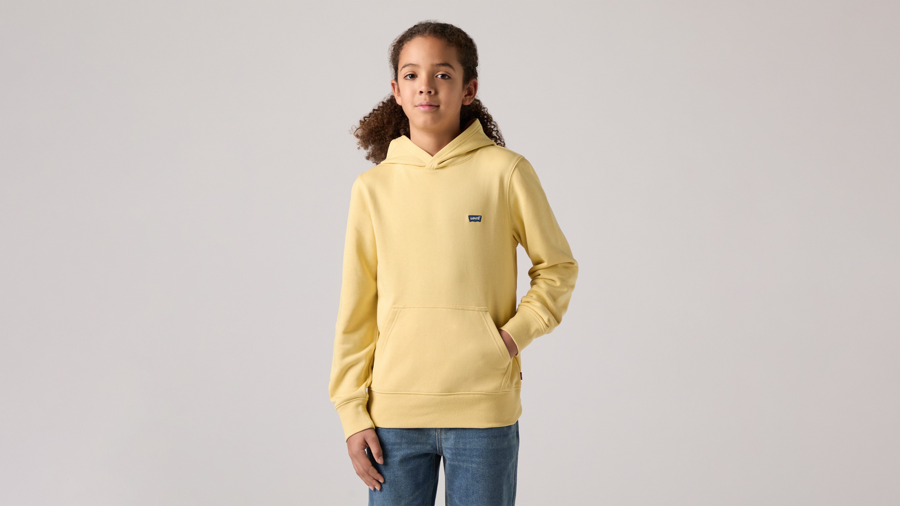 Levi's® Kids Hoodie LVB MINI BATWING PULL OVER HOO for BOYS