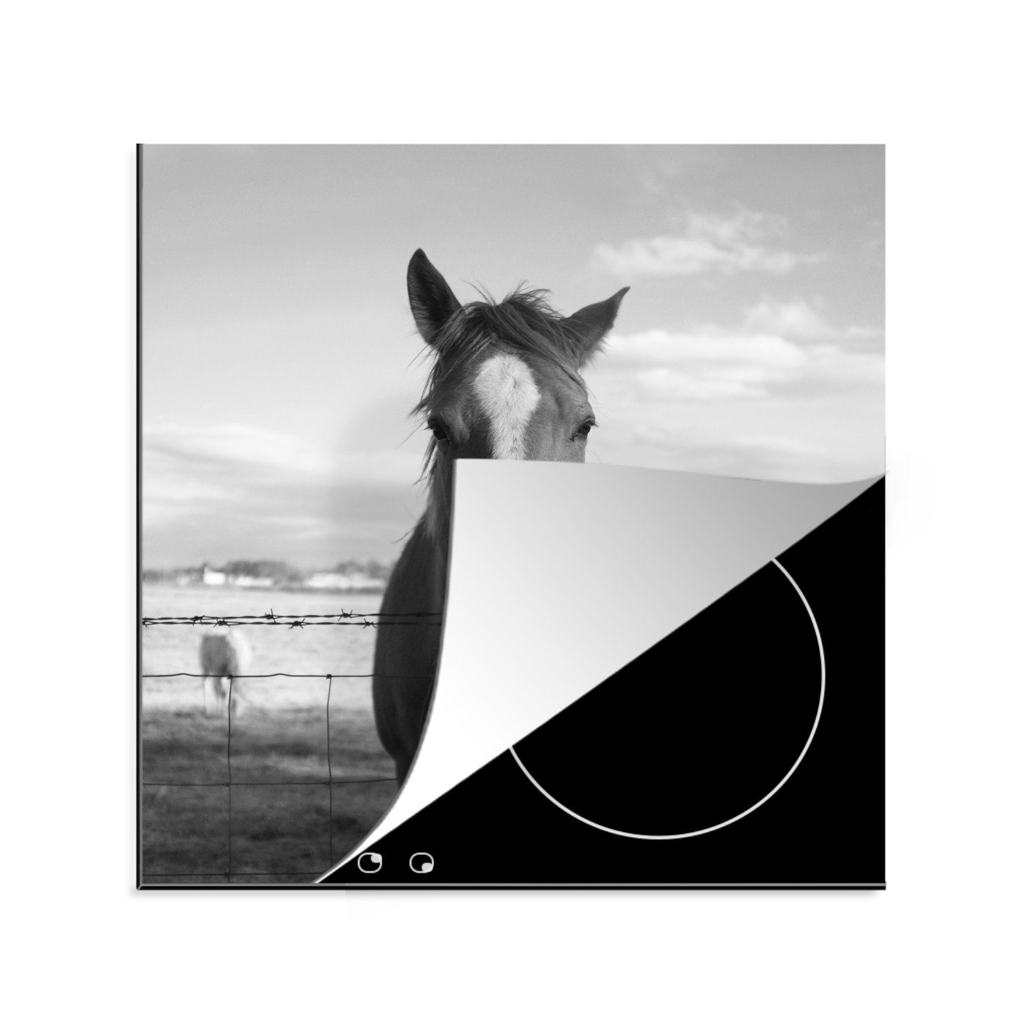 MuchoWow Herdblende-/Abdeckplatte Pferd hinter Stacheldraht, Vinyl, (1 tlg), 78x78 cm, Ceranfeldabdeckung, Arbeitsplatte für küche