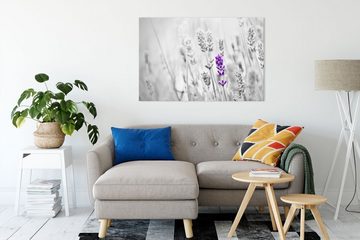 Pixxprint Leinwandbild wundervoller Lavendel, wundervoller Lavendel (1 St), Leinwandbild fertig bespannt, inkl. Zackenaufhänger