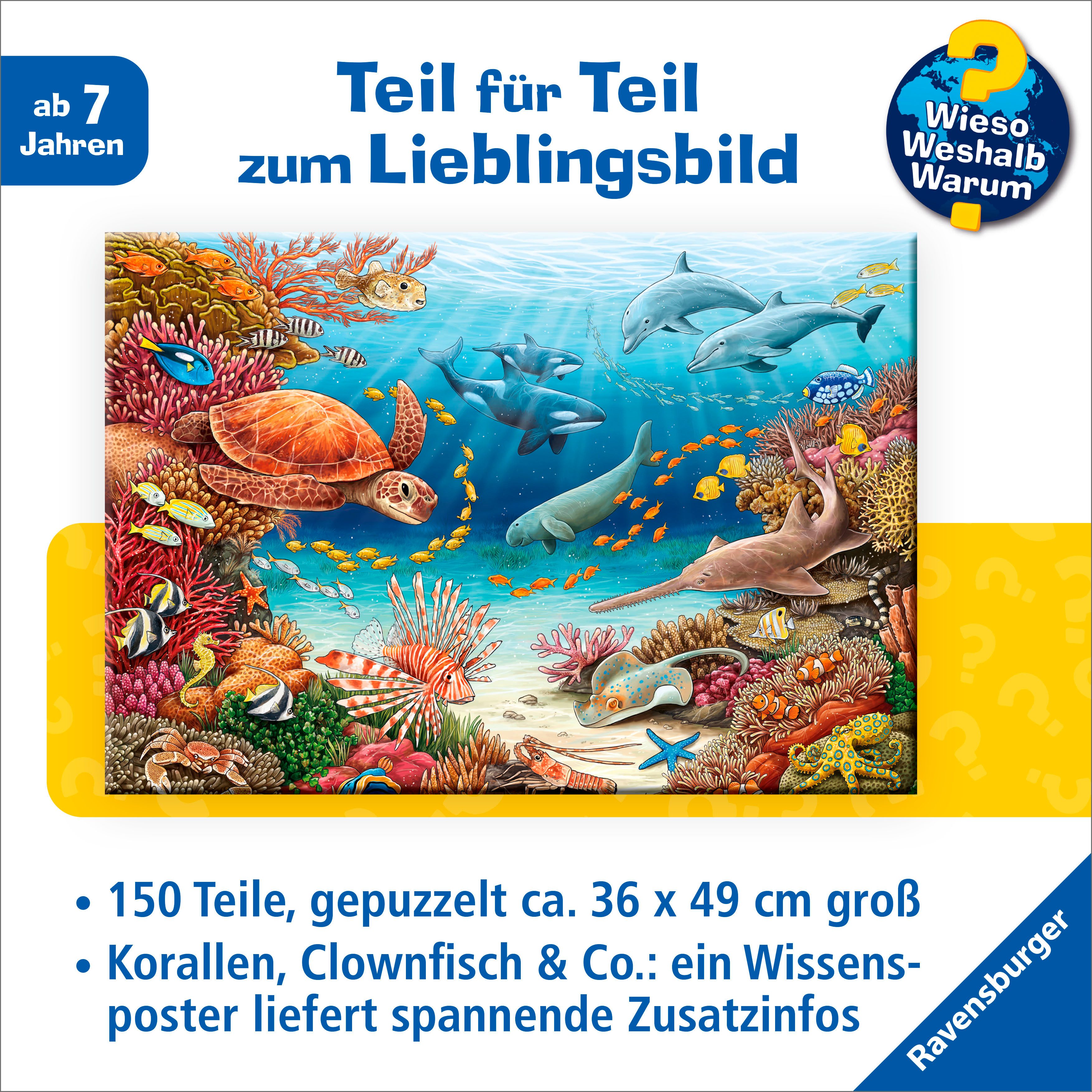 Ravensburger Puzzle Wieso? Weshalb? Warum? Meerestiere am Korallenriff, 150 Puzzleteile, Made in Germany