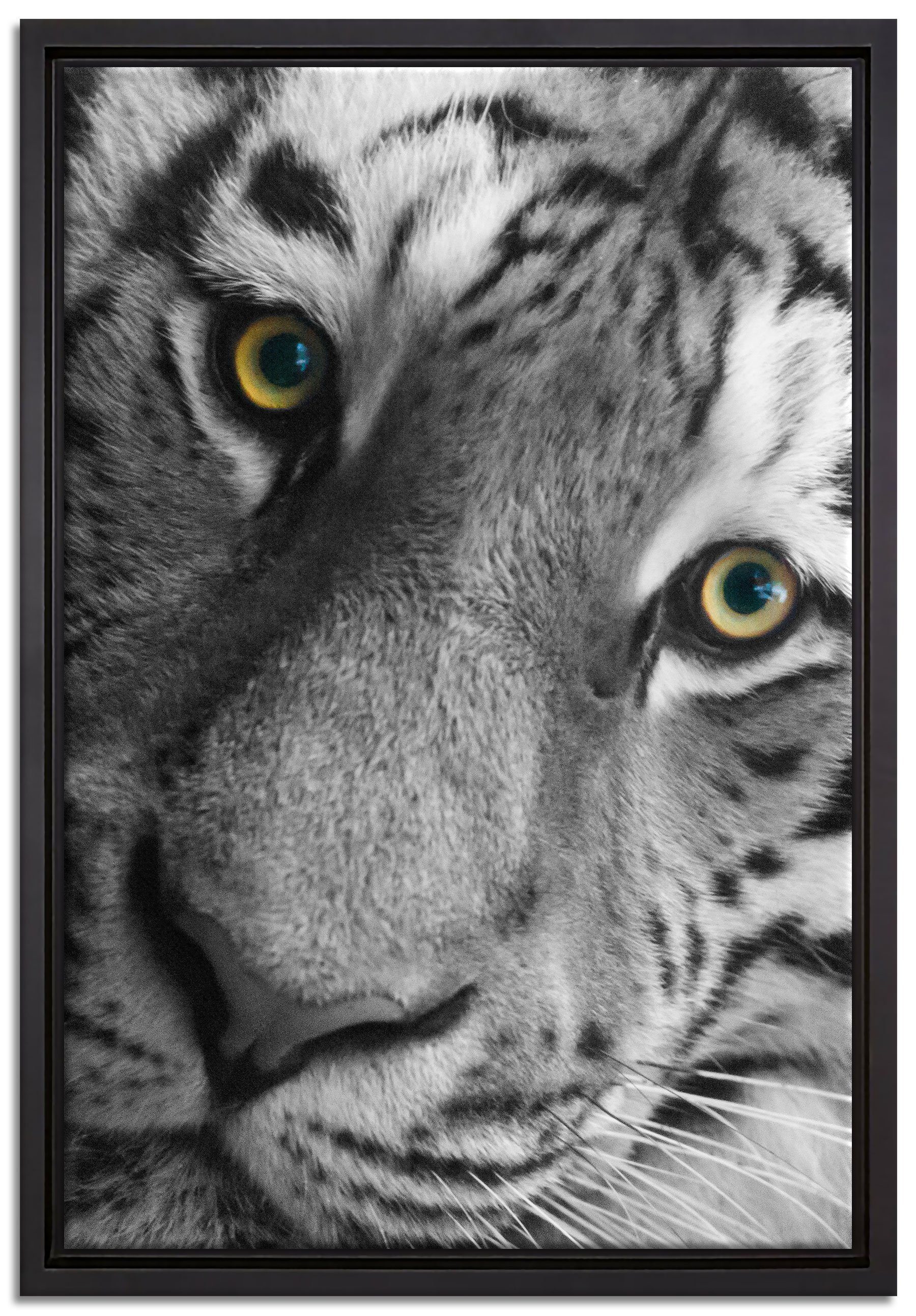 Pixxprint Leinwandbild bildschöner Tiger, Wanddekoration (1 St), Leinwandbild fertig bespannt, in einem Schattenfugen-Bilderrahmen gefasst, inkl. Zackenaufhänger