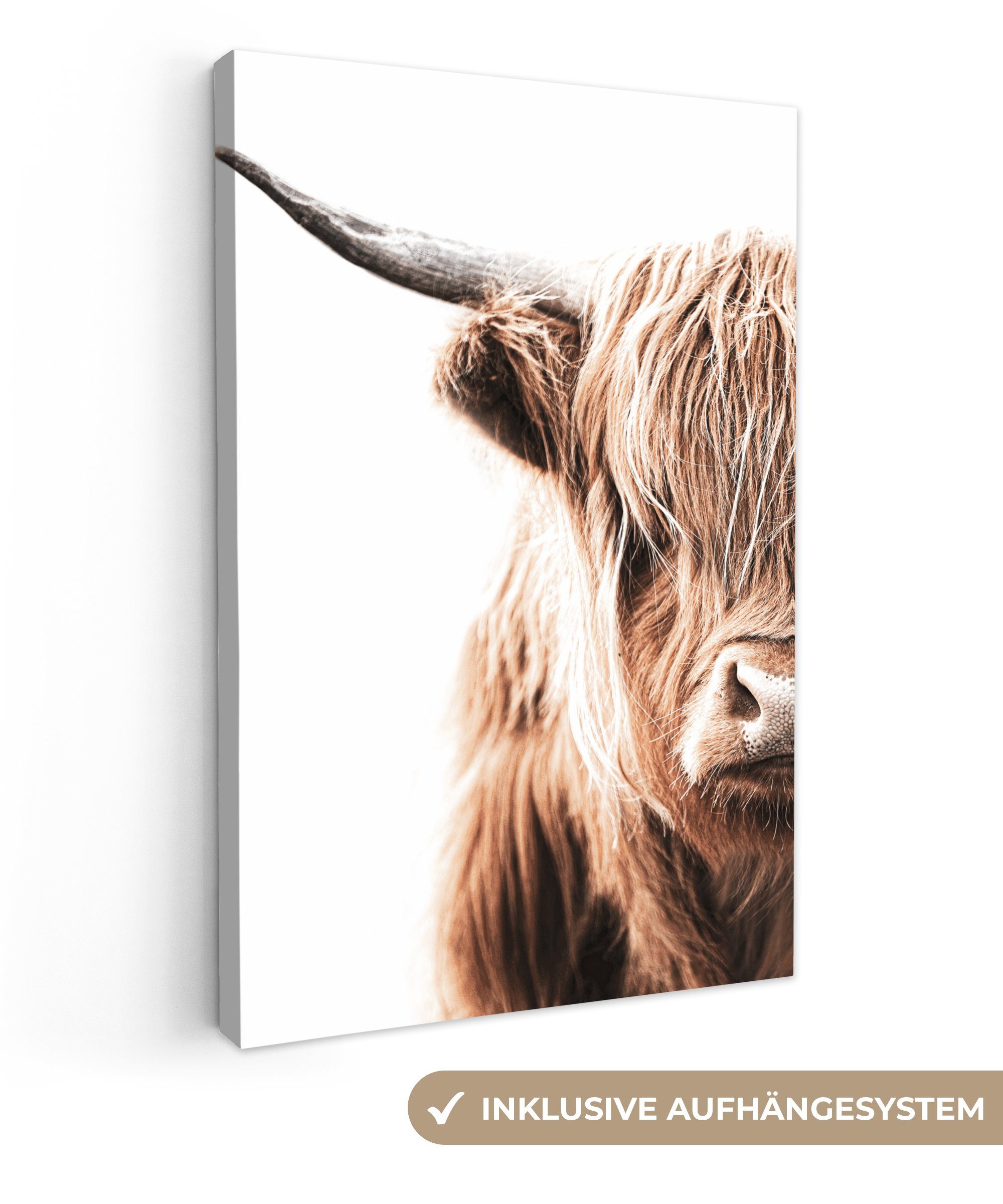 OneMillionCanvasses® Leinwandbild Schottischer Highlander - Tier - Stier, (1 St), Leinwandbild fertig bespannt inkl. Zackenaufhänger, Gemälde, 20x30 cm