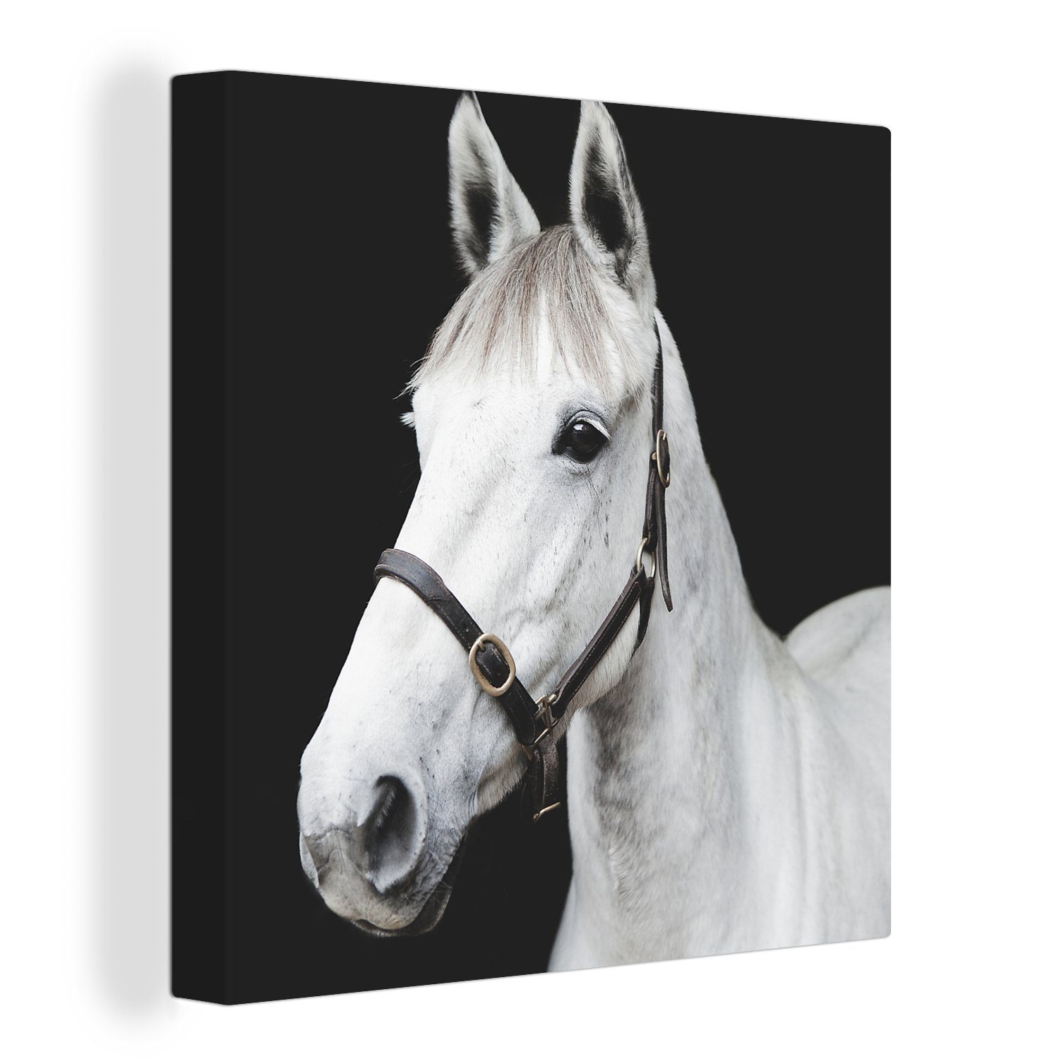 Guter Preis OneMillionCanvasses® Leinwandbild Pferd Halfter Leinwand Weiß, für - (1 St), Bilder Schlafzimmer - Wohnzimmer