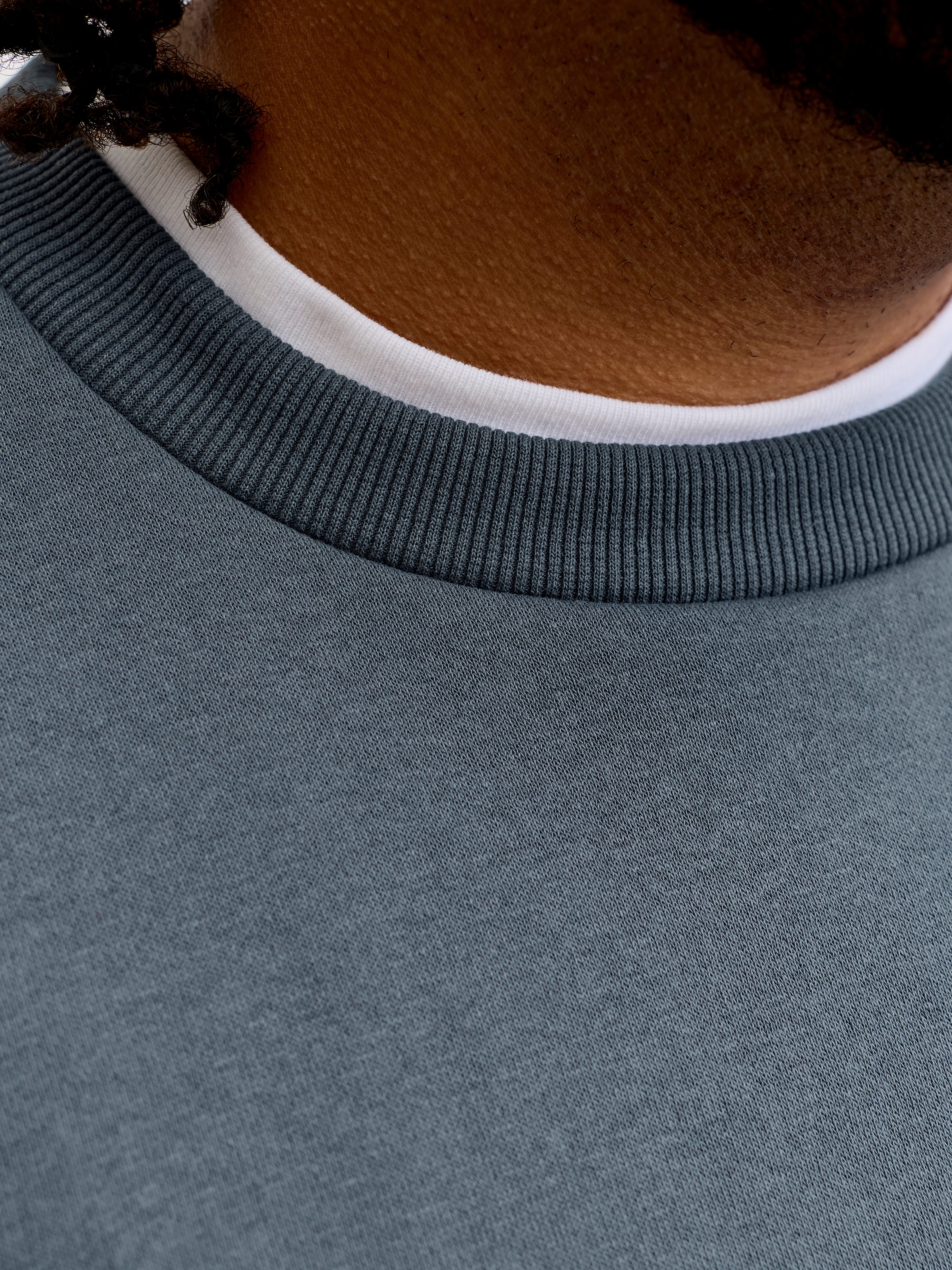 Jack & Jones PlusSize Sweatshirt JJEBRADLEY SWEAT CREW NOOS PLS mit Rippbündchen – Bild 2 von 5