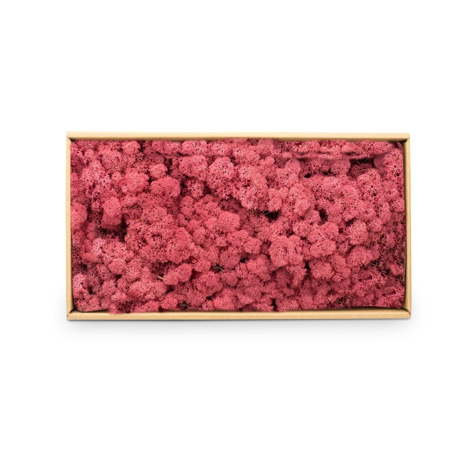 NaDeco Bastelnaturmaterial Islandmoos Erika 500g