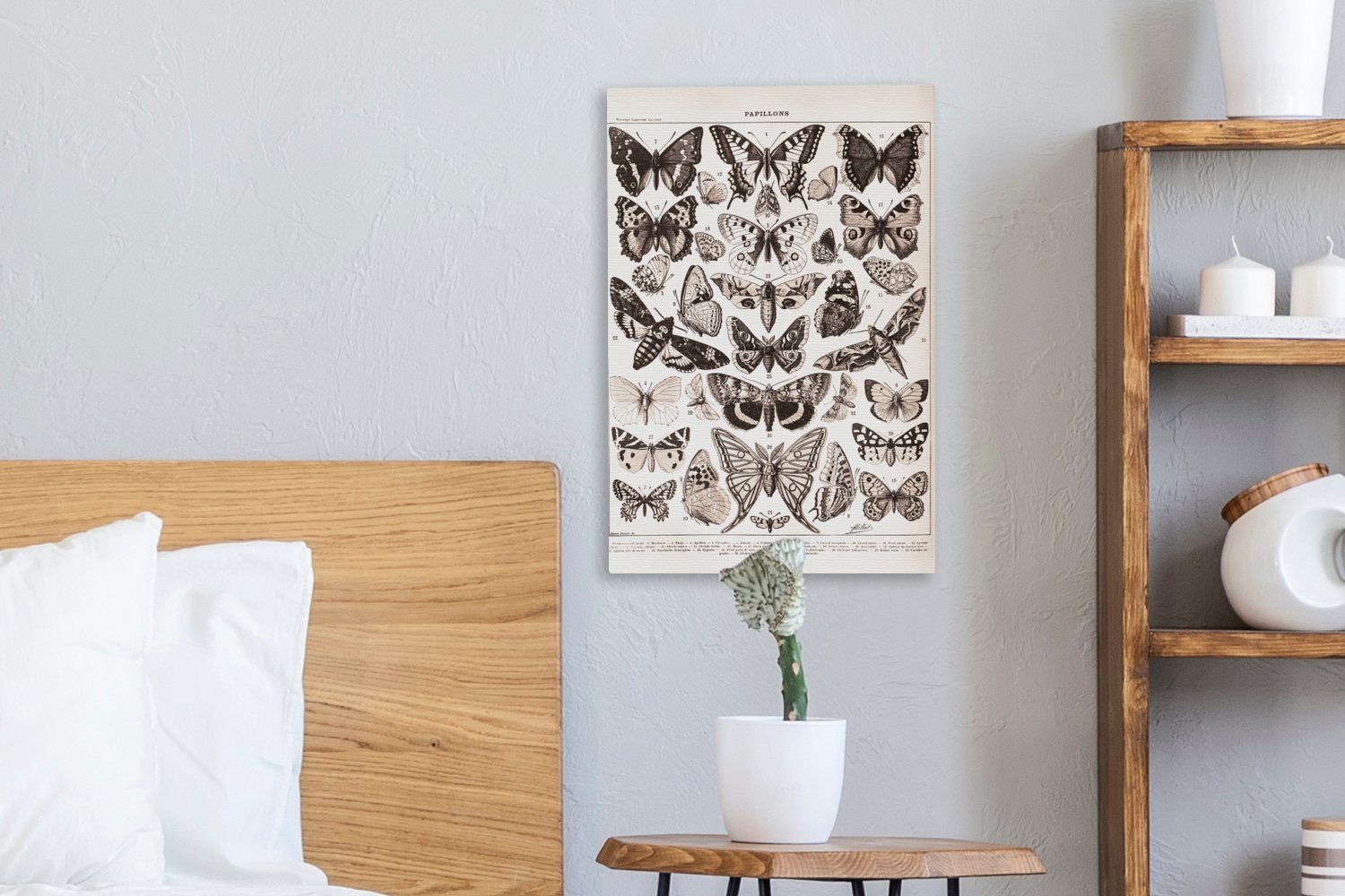 Zackenaufhänger, Leinwandbild Schmetterling - 20x30 fertig - Tiere Gemälde, cm bespannt Leinwandbild Schwarz OneMillionCanvasses® inkl. St), (1 Weiß, -