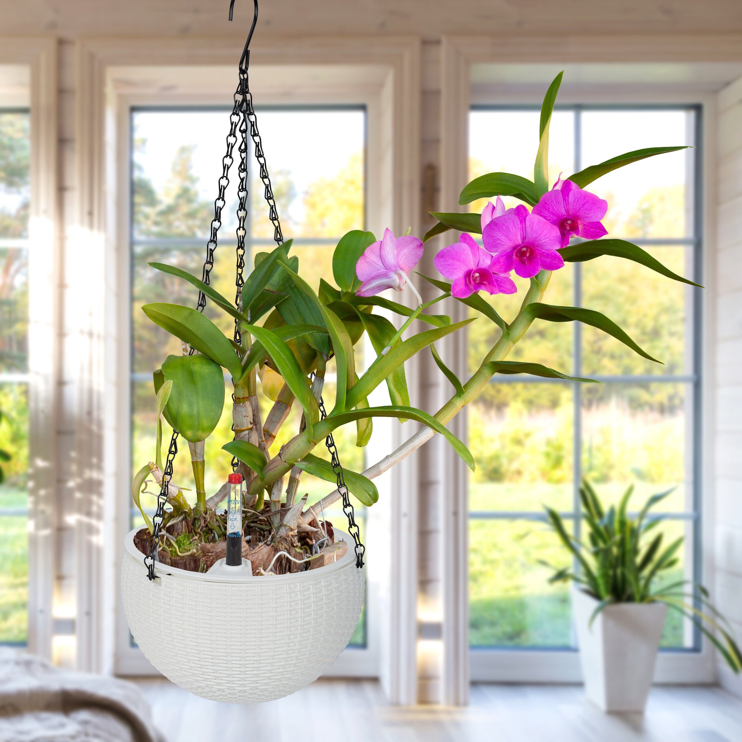 relaxdays Blumenampel mit Wasserspeicher 2er Set günstig online kaufen