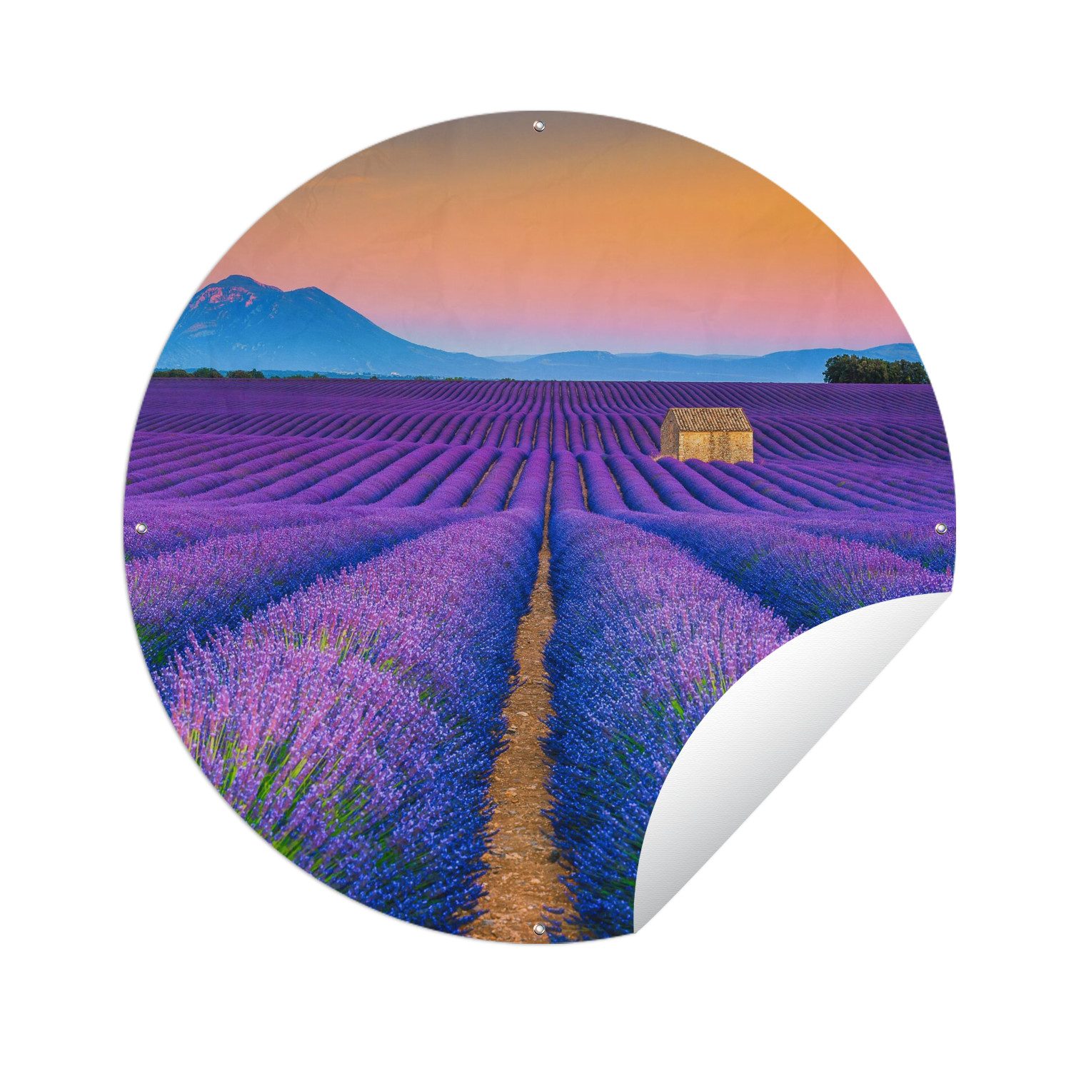 OnlyWow Poster für Garten Lavendel - Lila - Blumen, Gartenposter, Outdoor Bilder, Wetterfest, Garten Deko, 60x60 cm