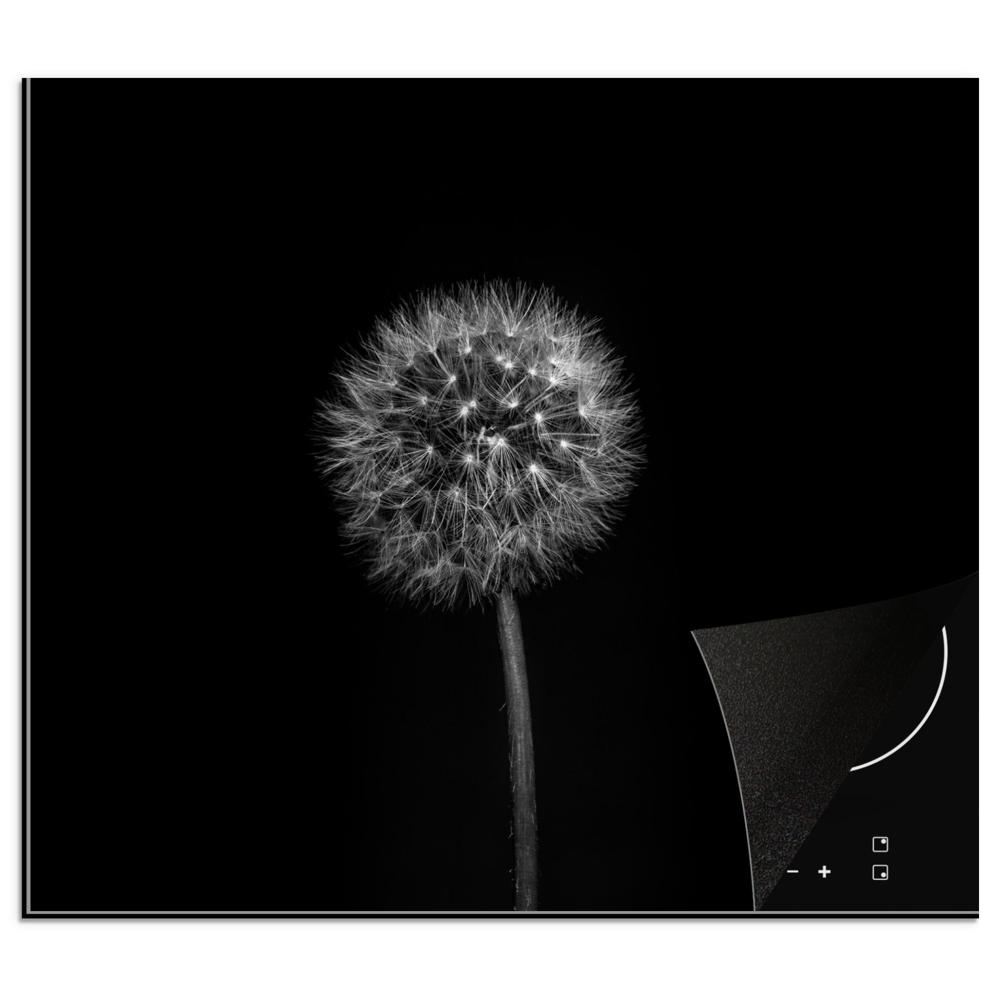 MuchoWow Herd-Abdeckplatte Löwenzahn - Schwarz - Floral - Botanisch, Vinyl, (1 tlg), Cerankochfeld Abdeckung, Herd Abdeckplatten Vinyl, 58.3x51.3 cm
