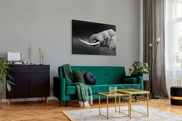 Sinus Art Leinwandbild 120x80cm Wandbild auf Leinwand Elefant Stoßzähne Schwarz Weiß Tierfoto, (1 St)