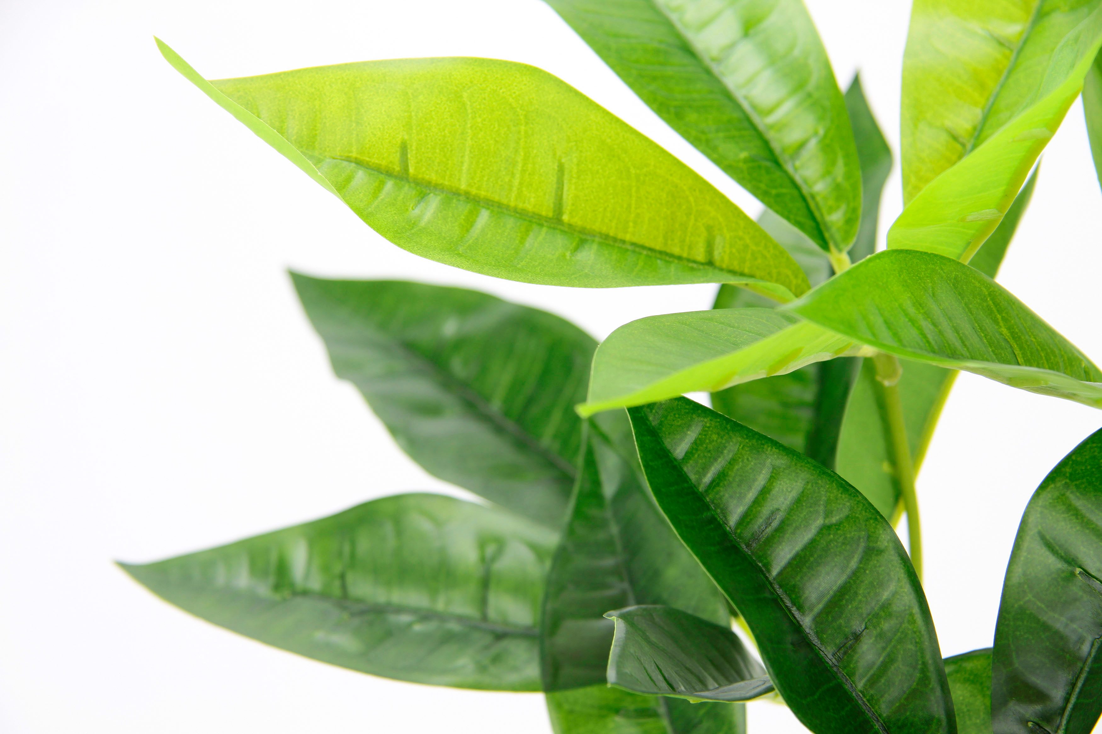Kunstpflanze Schefflera, I.GE.A., Höhe 48 cm, Mit Übertopf Künstliche Seidenblumen