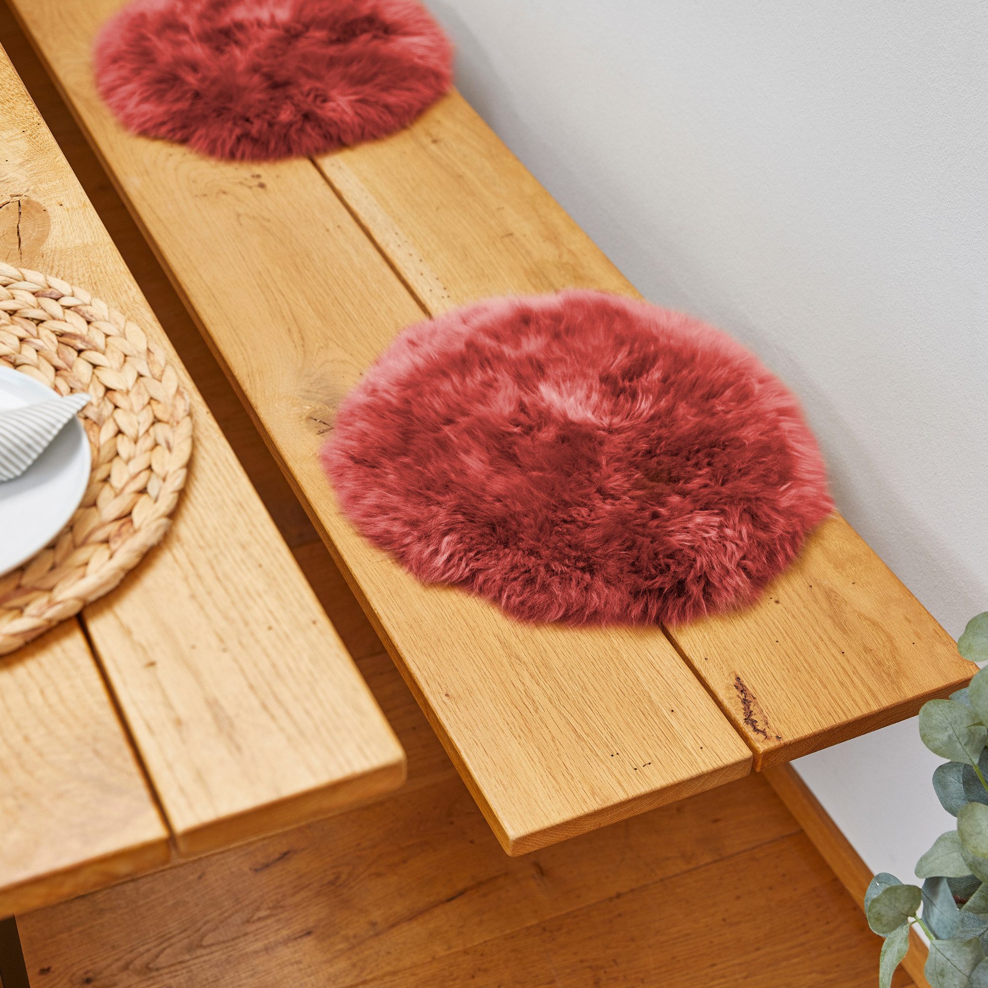 nasssauger polster leihen für – Hygienische Reinigung für Sofa & Couch Colour:Clear 1937