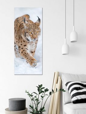 Pixxprint Glasbild Luchs im Schnee, Luchs im Schnee (1 St), Glasbild aus Echtglas, inkl. Aufhängungen und Abstandshalter