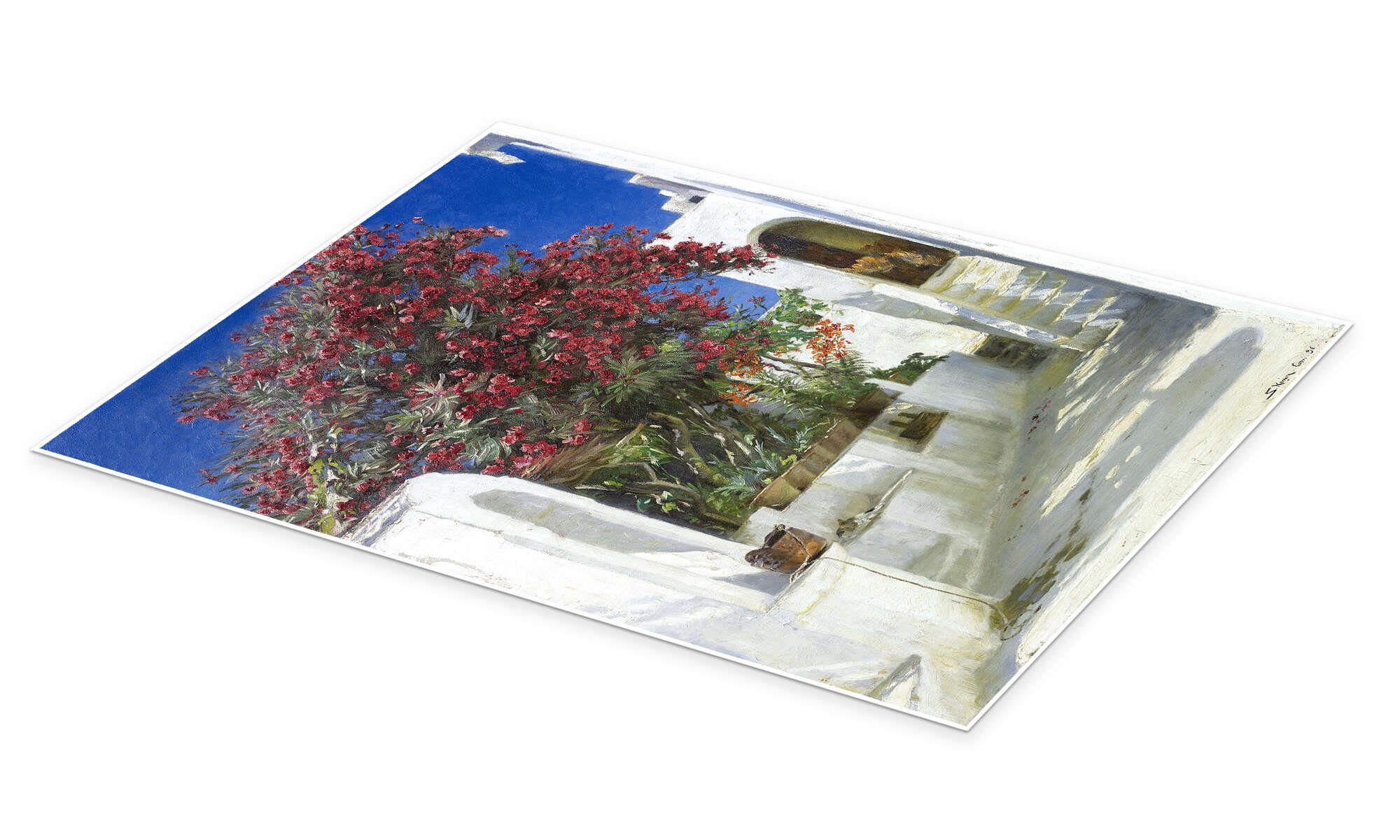 Posterlounge Wandbild Oleander in voller Blüte, Peder Severin Krøyer, erhältlich als Poster, Leinwandbild, Wandsticker oder Acrylglasbild