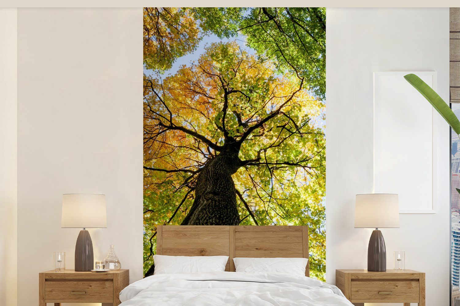 MuchoWow Fototapete Baum - Natur - Wald, Matt, bedruckt, (2 St), Vliestapete für Wohnzimmer Schlafzimmer Küche, Fototapete