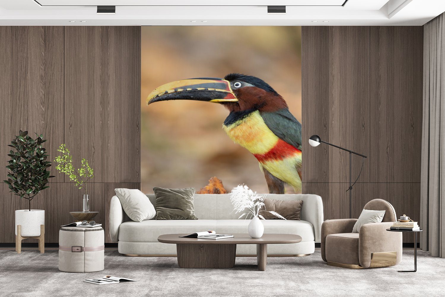 Matt, bedruckt, Natur, Wohnzimmer, Federn - Vinyl St), - (4 für Tukan Fototapete MuchoWow Vogel Wandtapete Tapete - Montagefertig