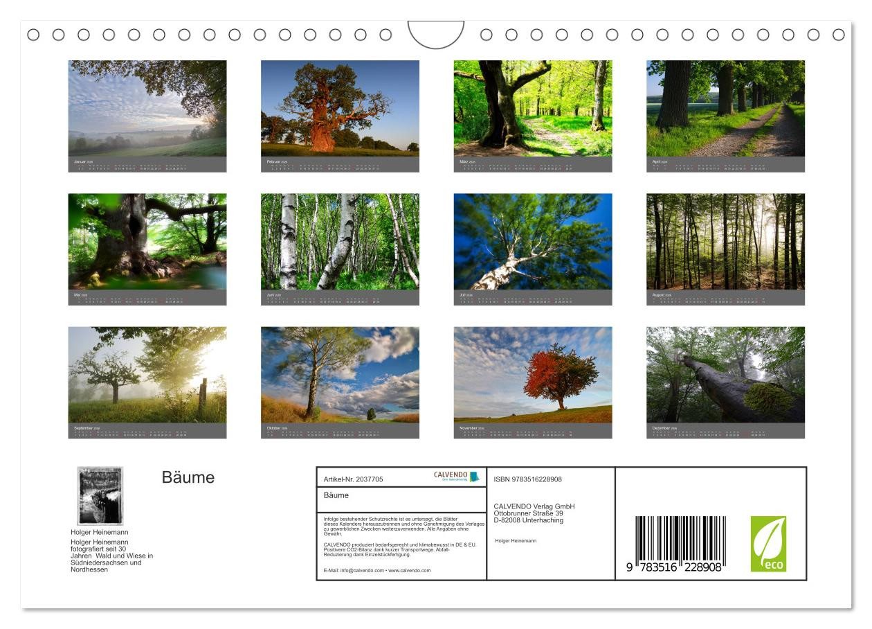 Thumbnail - CALVENDO Wandkalender Bäume (Wandkalender 2026 DIN A4 quer), CALVENDO Monatskalender