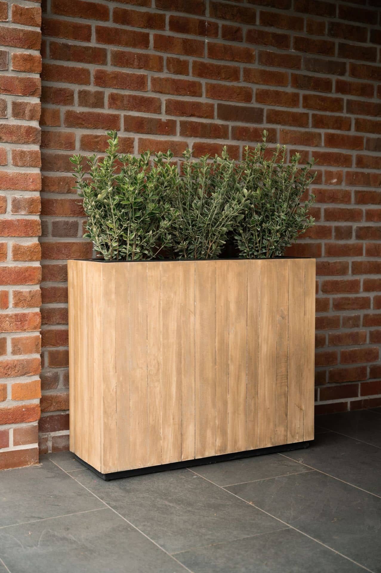 VIVANNO Pflanzkübel Holz ELEMENTO Kasten - günstig online kaufen