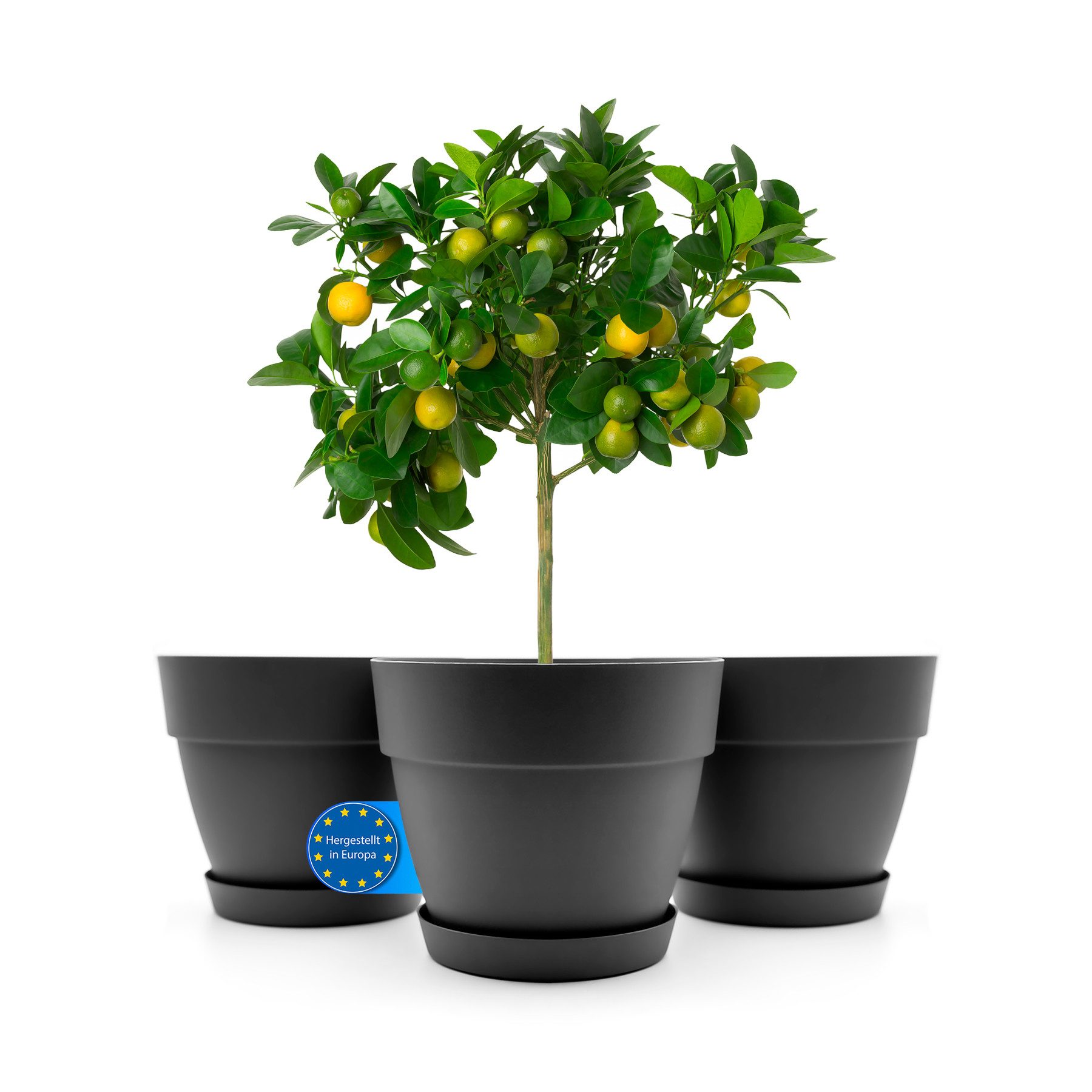 Blumentopf 3 Stück Blumentopf mit Untersetzer rund ø47 cm in Anthrazit
