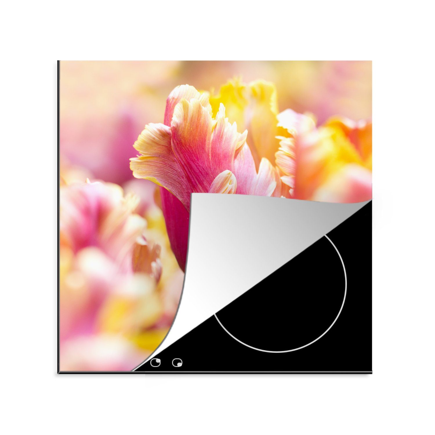 MuchoWow Herdblende-/Abdeckplatte Eine Nahaufnahme einer rosa Tulpe mit gelbem Kopf, Vinyl, (1 tlg), 78x78 cm, Ceranfeldabdeckung, Arbeitsplatte für küche