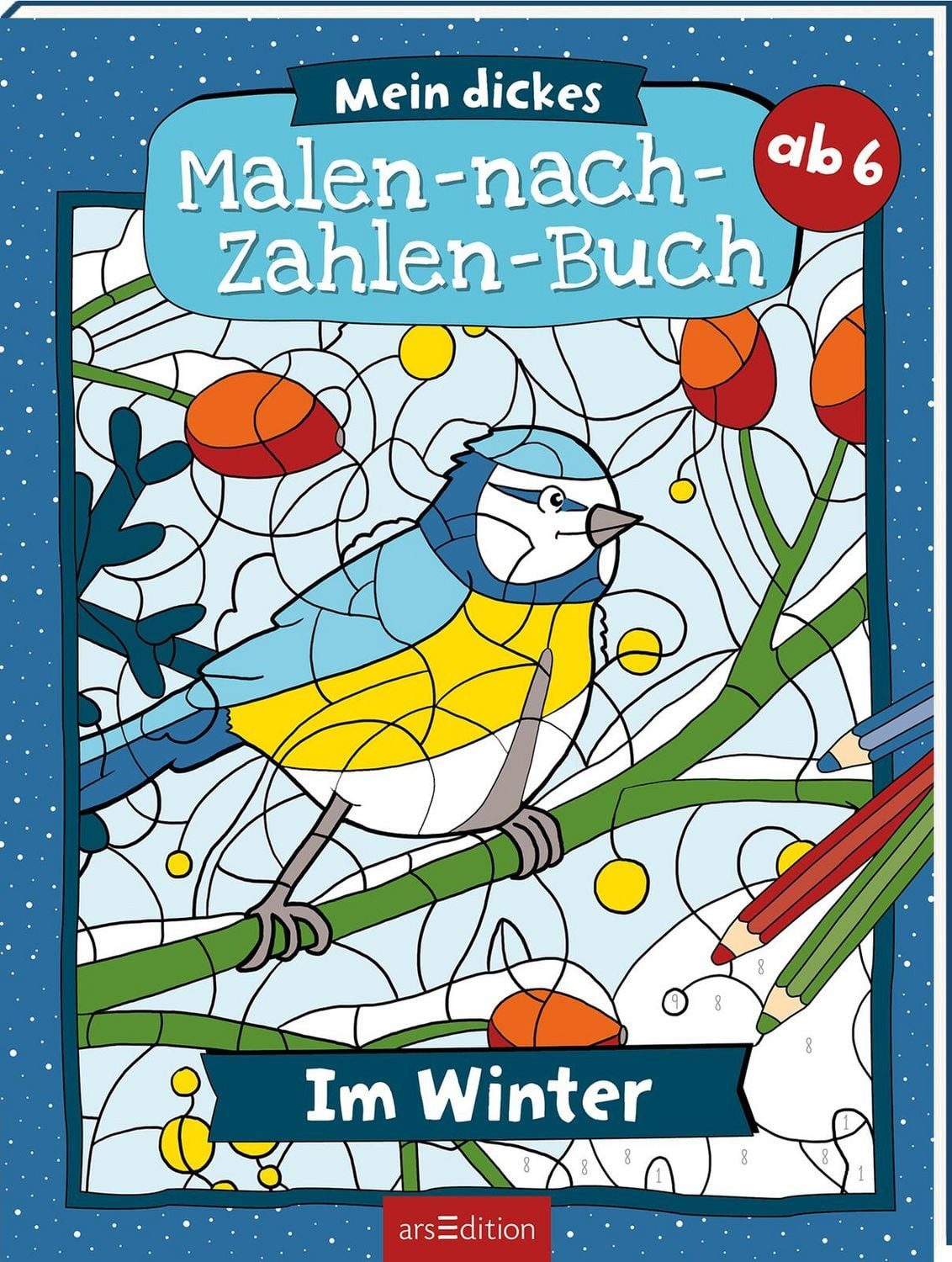 Mein dickes Malen-nach-Zahlen-Buch – Im Winter / diverse