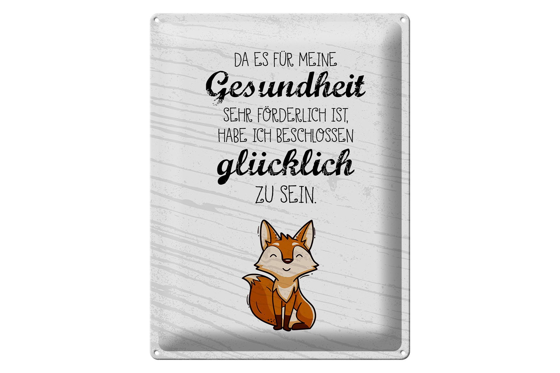Metallschild Spruch 30x40 cm für Gesundheit förderlich glücklich zu sein