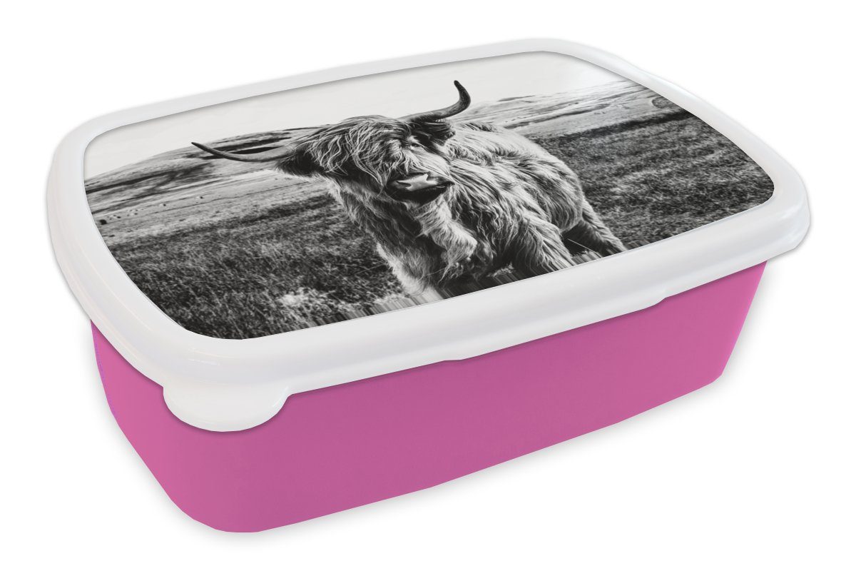 MuchoWow Lunchbox Schwarz - Weiß - Schottischer Highlander - Gras, Kunststoff, (2-tlg), Brotbox für Erwachsene, Brotdose Kinder, Snackbox, Mädchen, Kunststoff rosa