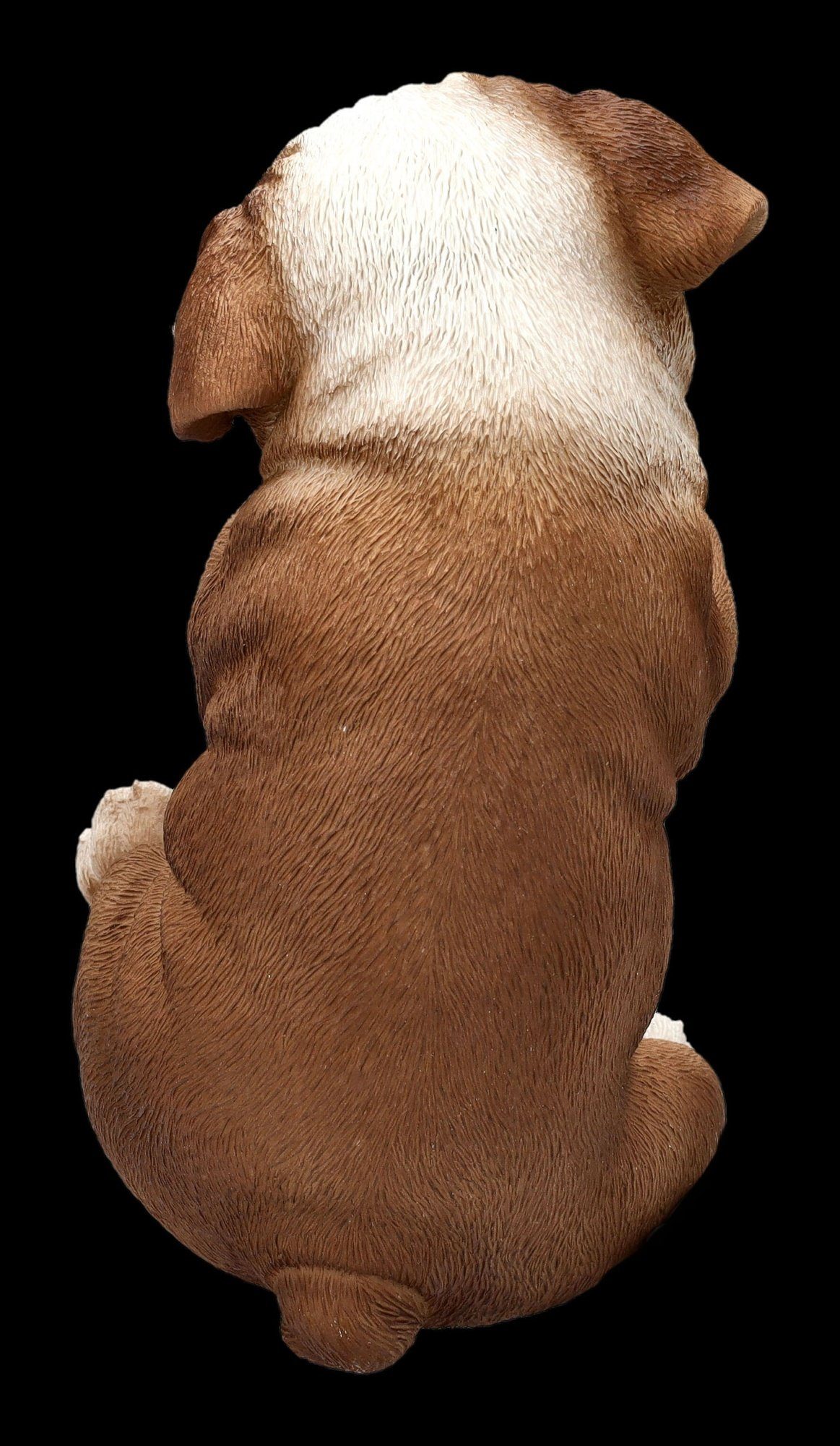 Hunde Figuren Shop Bulldogge als Dekofigur Figur Tierfigur Welpen Blumentopf-Hänger - GmbH