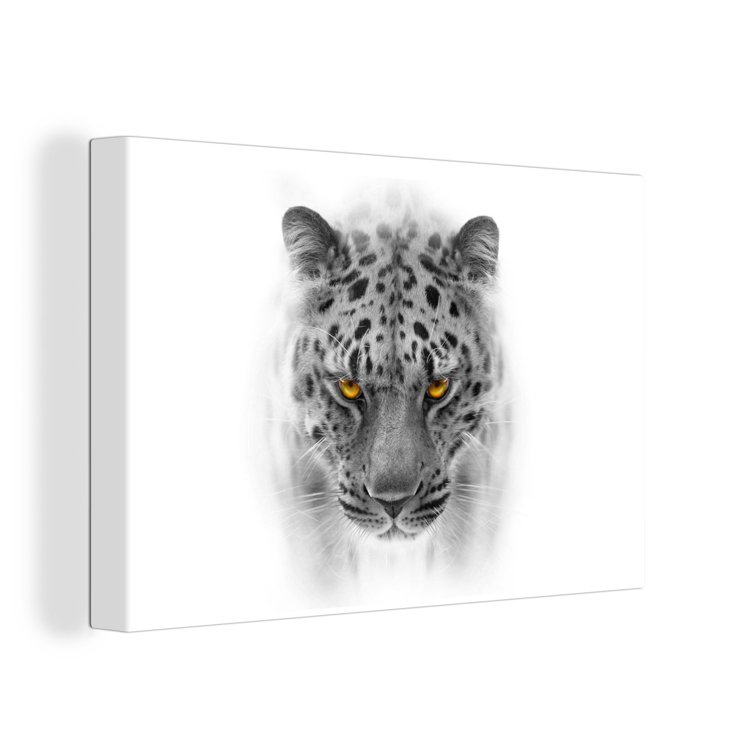 Kopf, Schwarz OneMillionCanvasses® Leinwandbilder, Leinwandbild cm (1 Aufhängefertig, Leopard Weiß - St), 30x20 - Wanddeko, Wandbild -