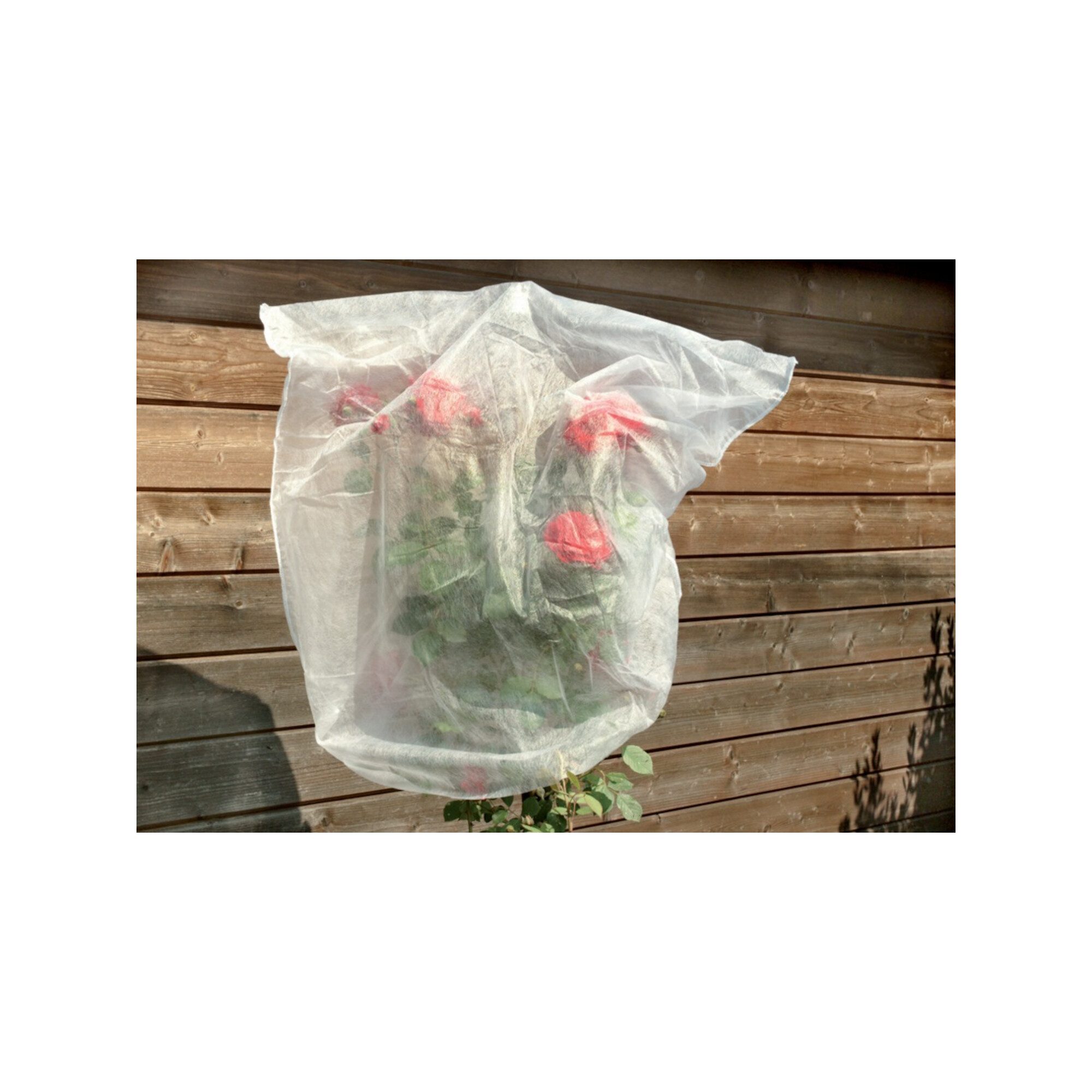 Floraworld Malervlies floraworld Rosenhaubenvlies 5er Set 0,8x0,75 m 17g