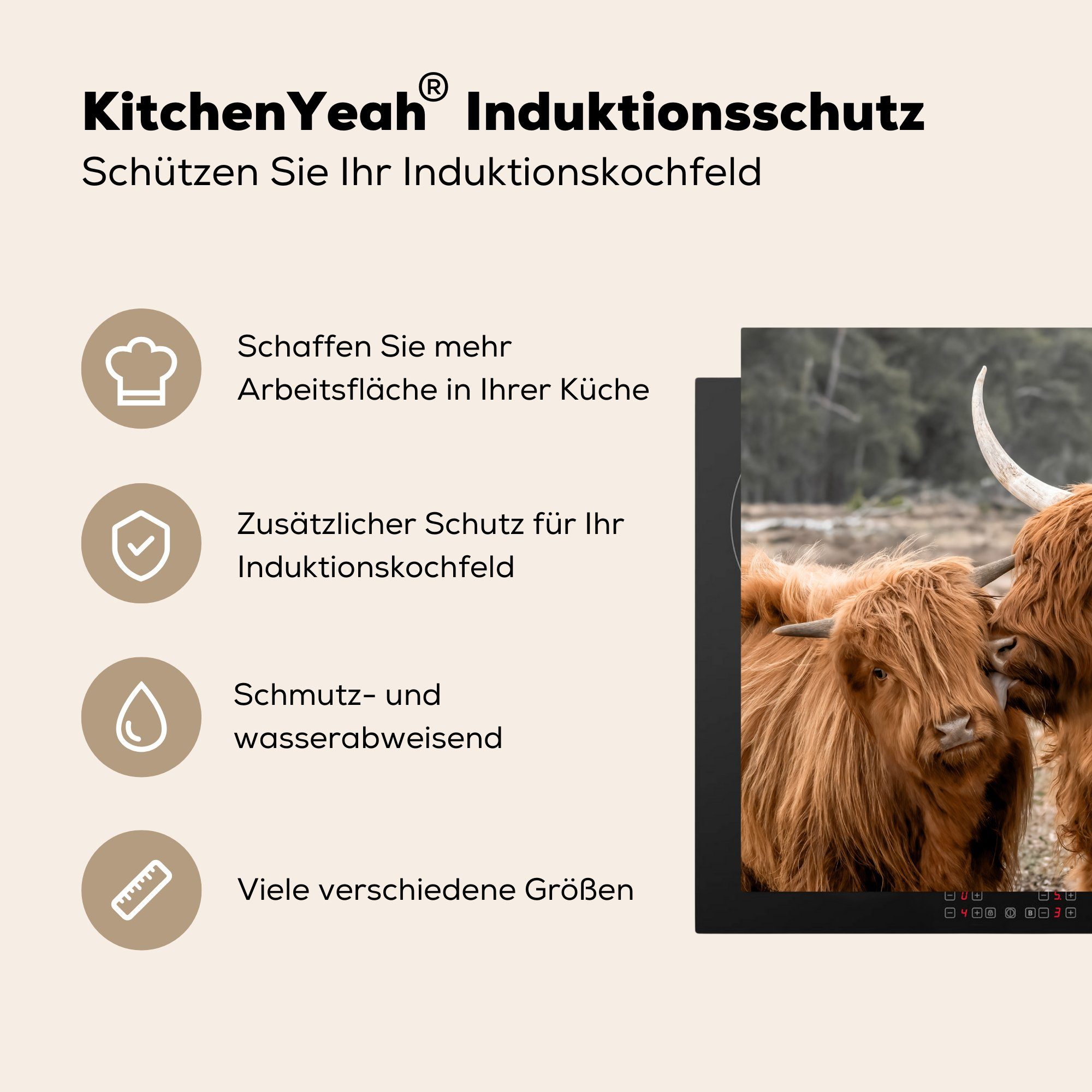 - (1 Kuh 78x78 tlg), cm, Highlander Arbeitsplatte Herdblende-/Abdeckplatte für - Tiere, Schottischer Ceranfeldabdeckung, MuchoWow küche Vinyl,