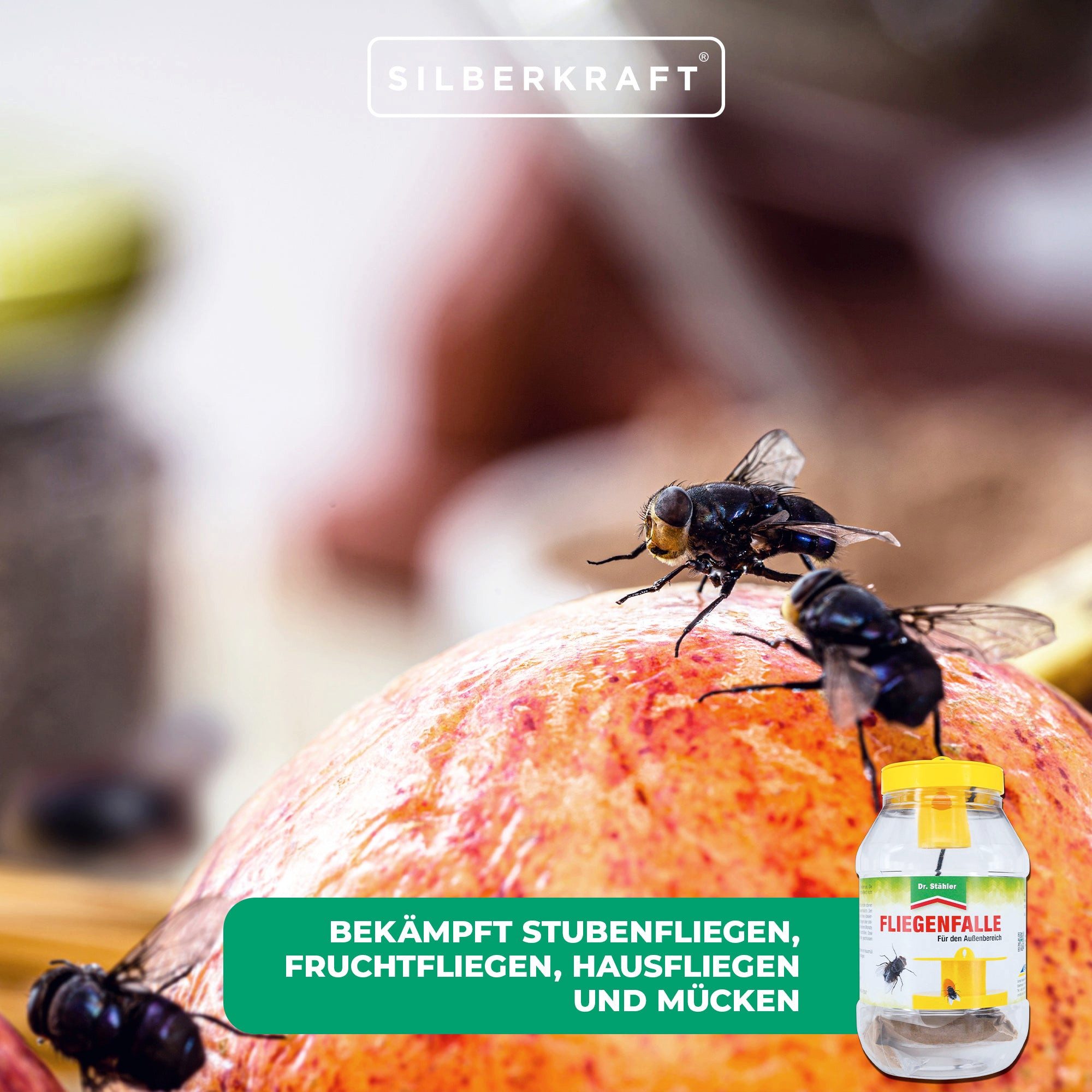 Silberkraft Insektenfalle Effektive Fliegenabwehr: Hochwirksame Fliegenfalle, Bekämpft Stubenfliegen, Fruchtfliegen, Hausfliegen und Mücken