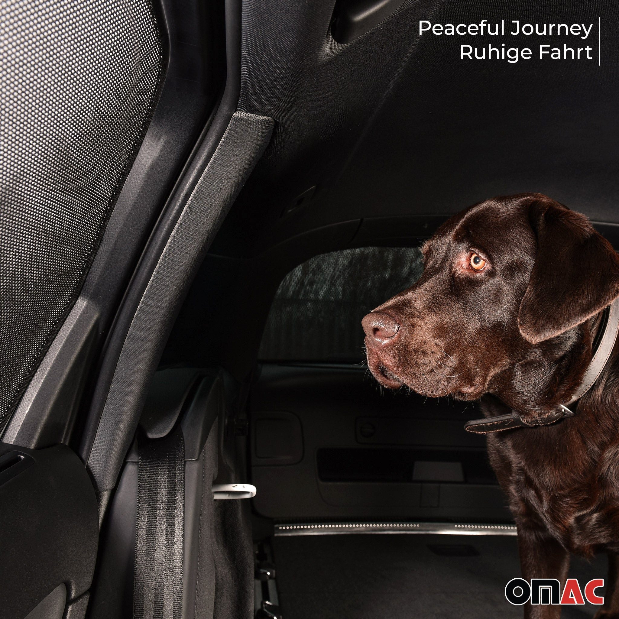 OMAC Car Sunshades for Mini Cooper 2007-2013 Rear Doors, 2-Piece Set, 60 x 3 cm, (2-Pack), Easy to Clean, Easy to Install